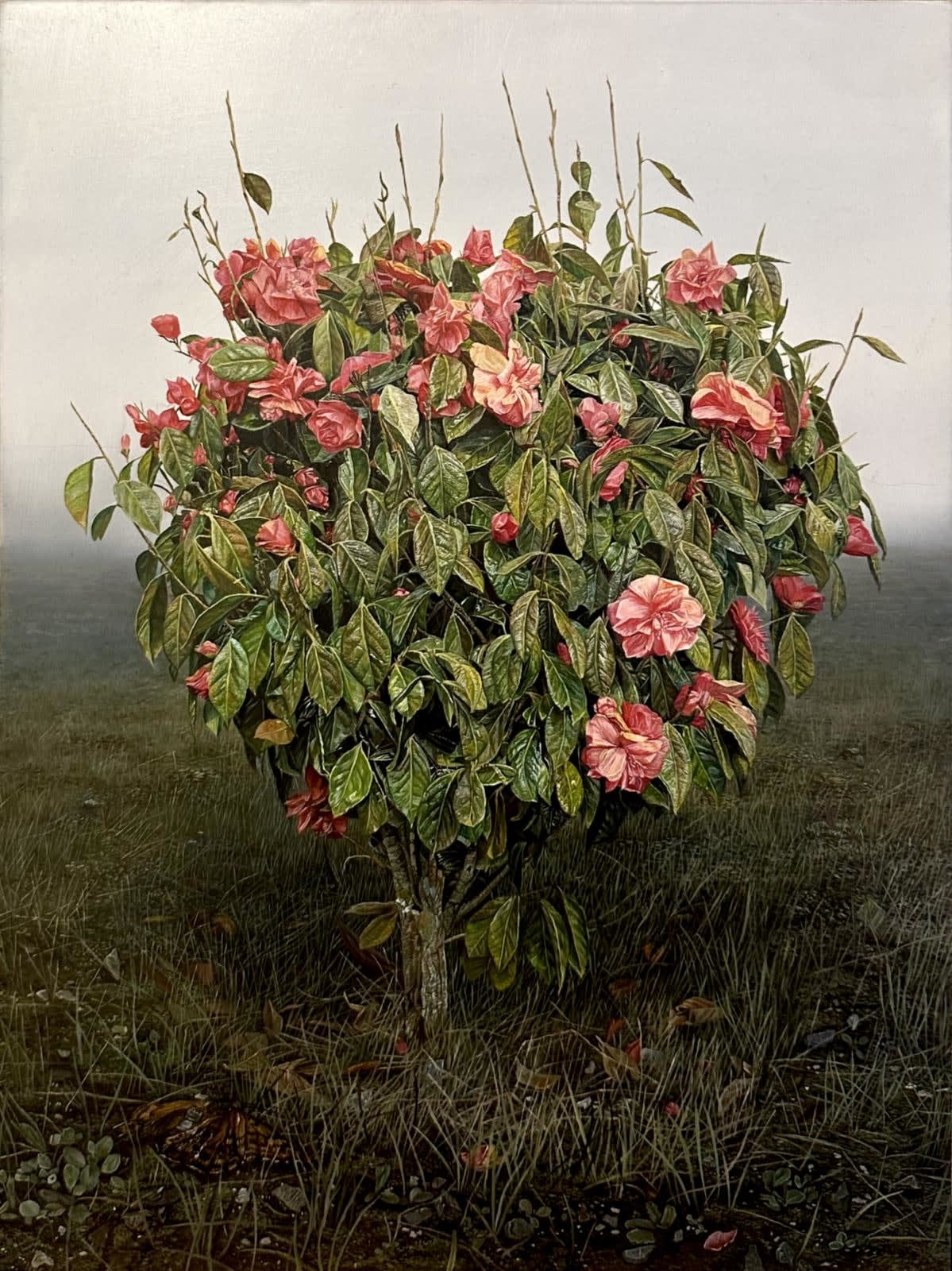 Daniel Nelis, All Things Shining, 2023