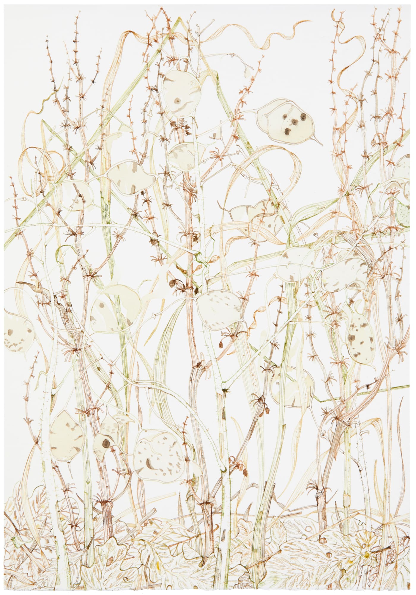 Jane Hyslop RSA (Elect), January Collection I