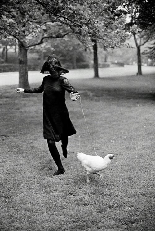 Jerry Schatzberg, Chicken, 1964