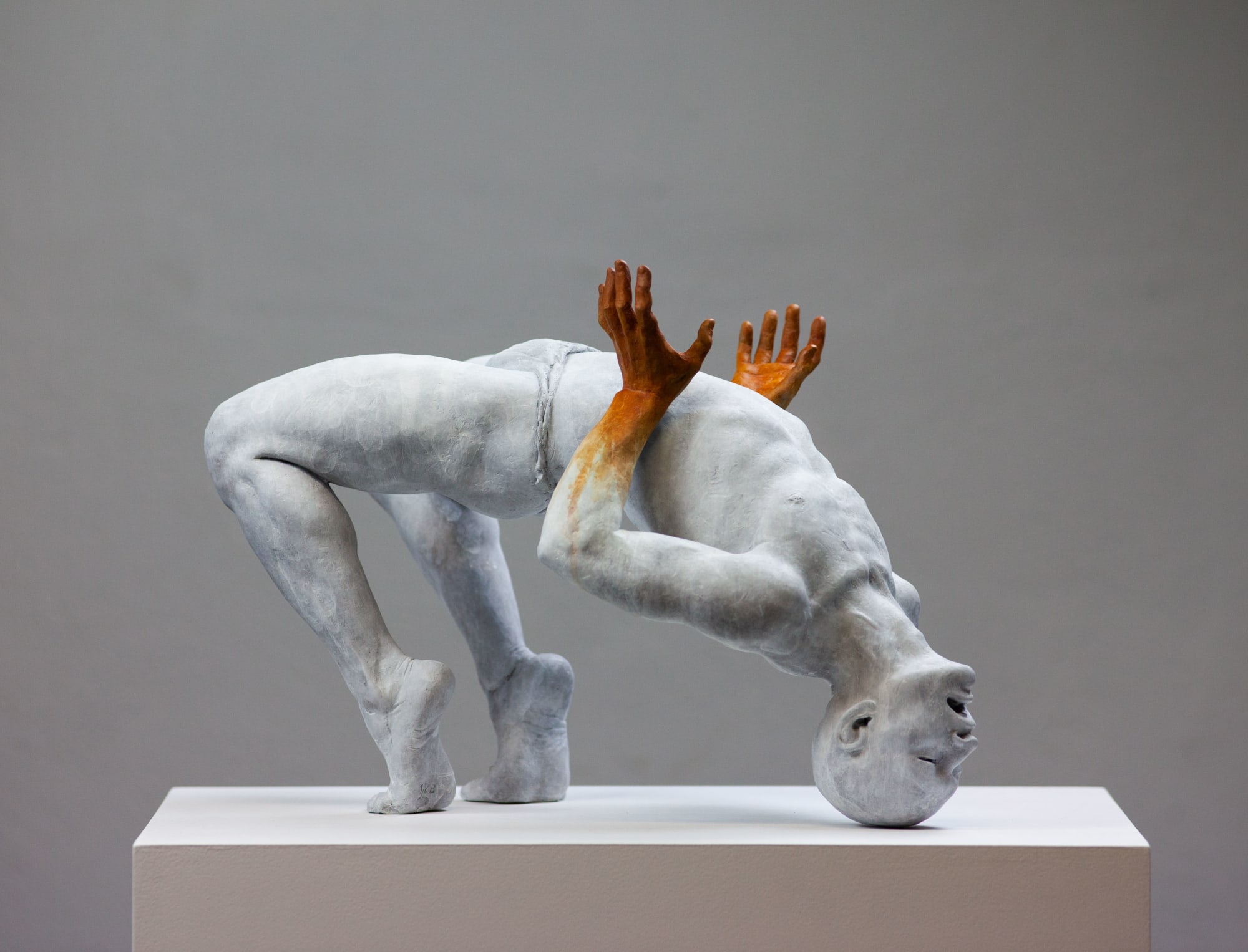 Coderch & Malavia, Revive, 2019