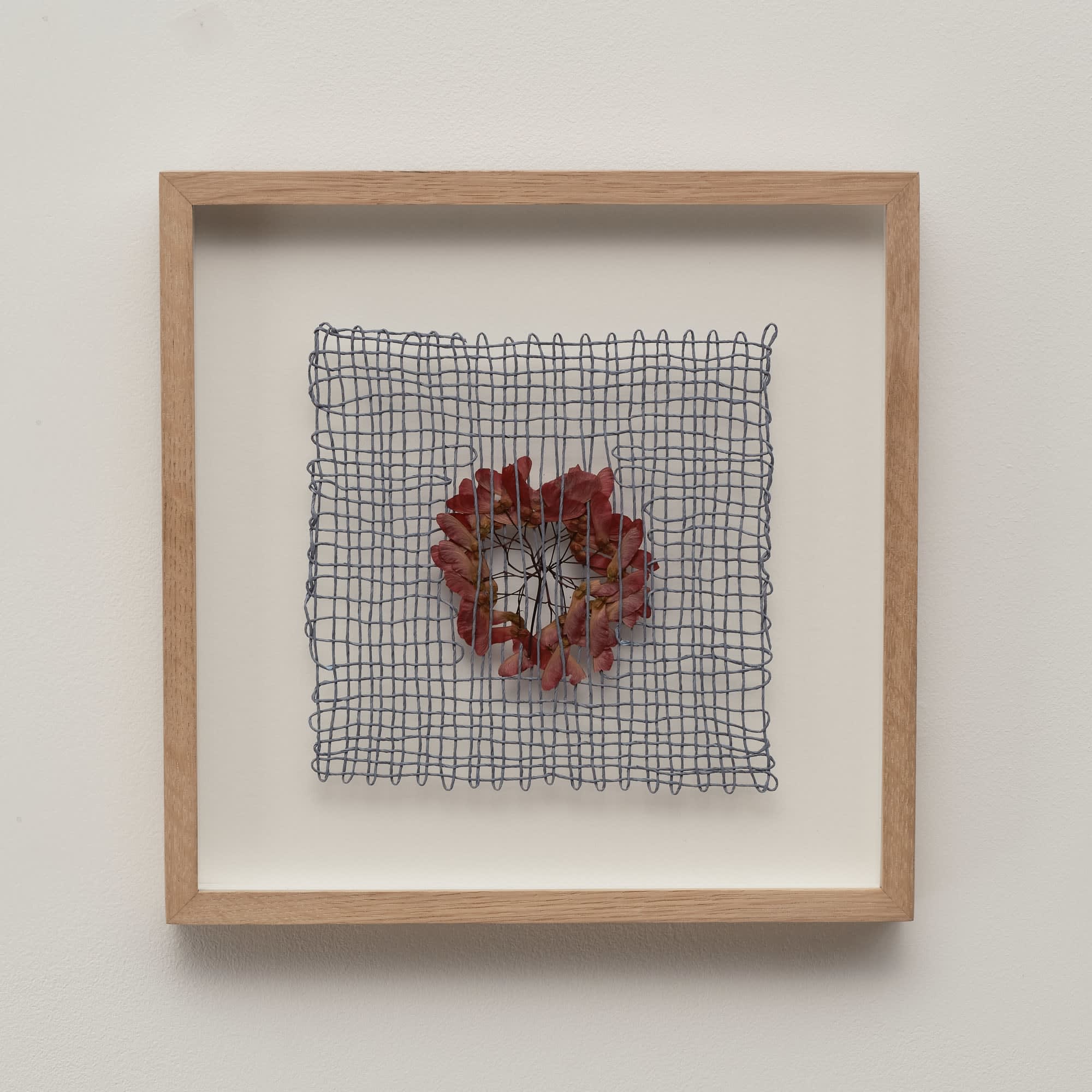 Rachna Garodia, Maple, 2023