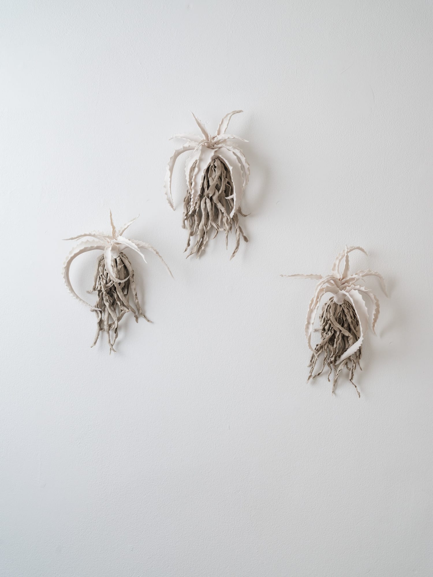 Katie Spragg, Beusty Aloe 2, 2023