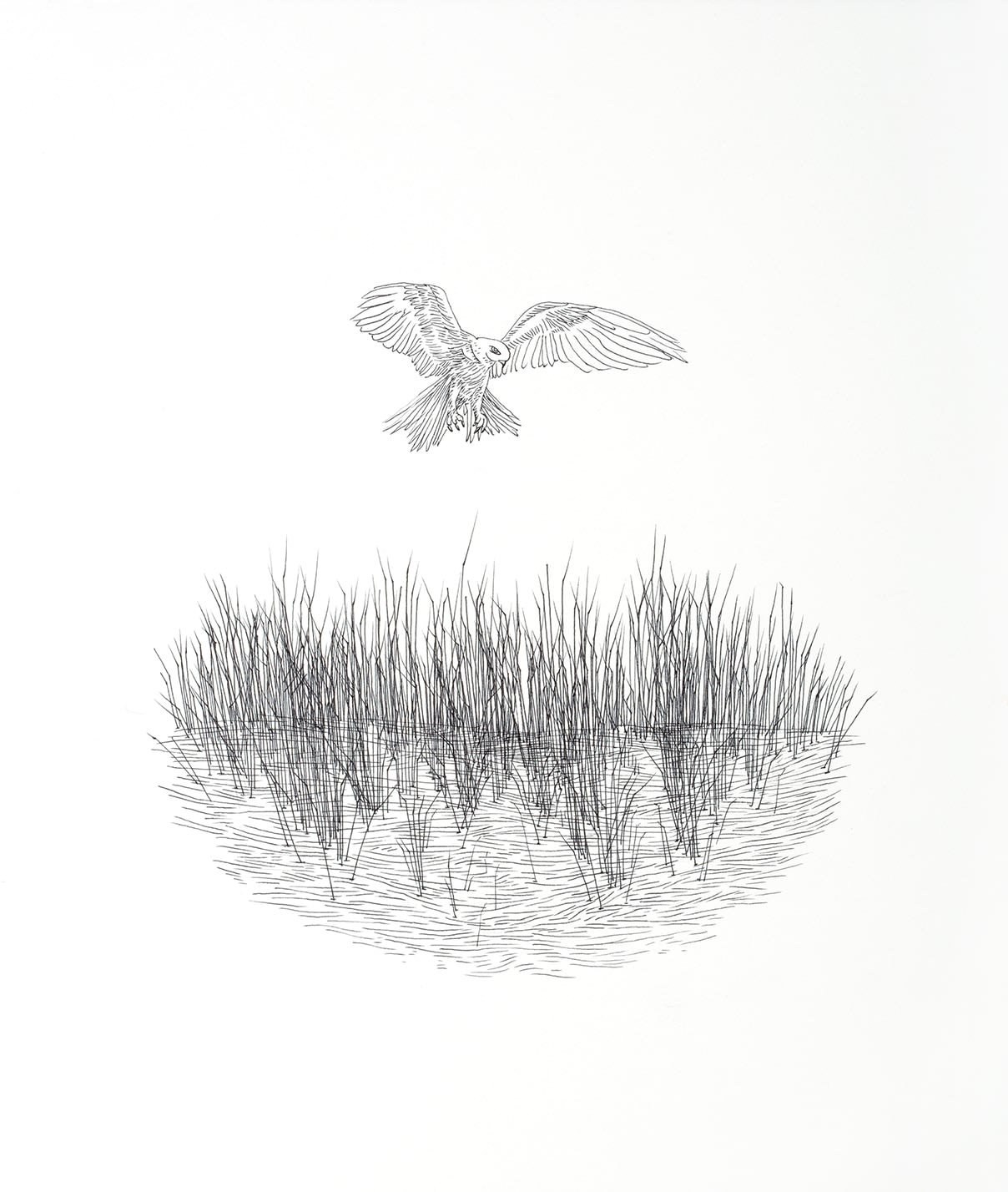 Çağla Köseoğulları, İsimsiz 35 | Untitled 35, 2016