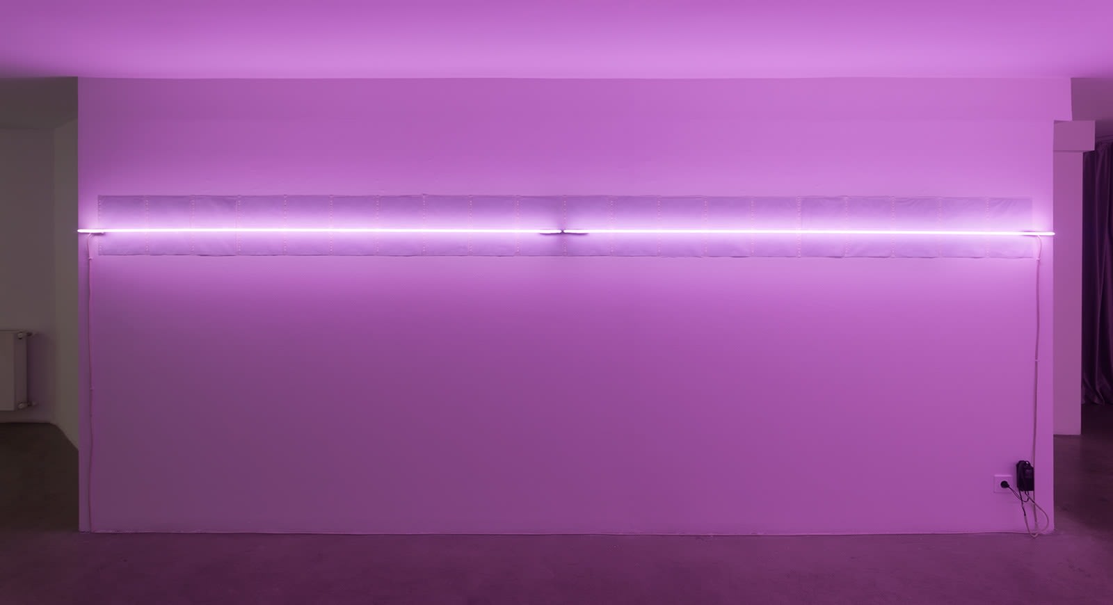 Ludovic Bernhardt, Uyuyan Koloni I & II |The Dormant Colony I & II, 2016