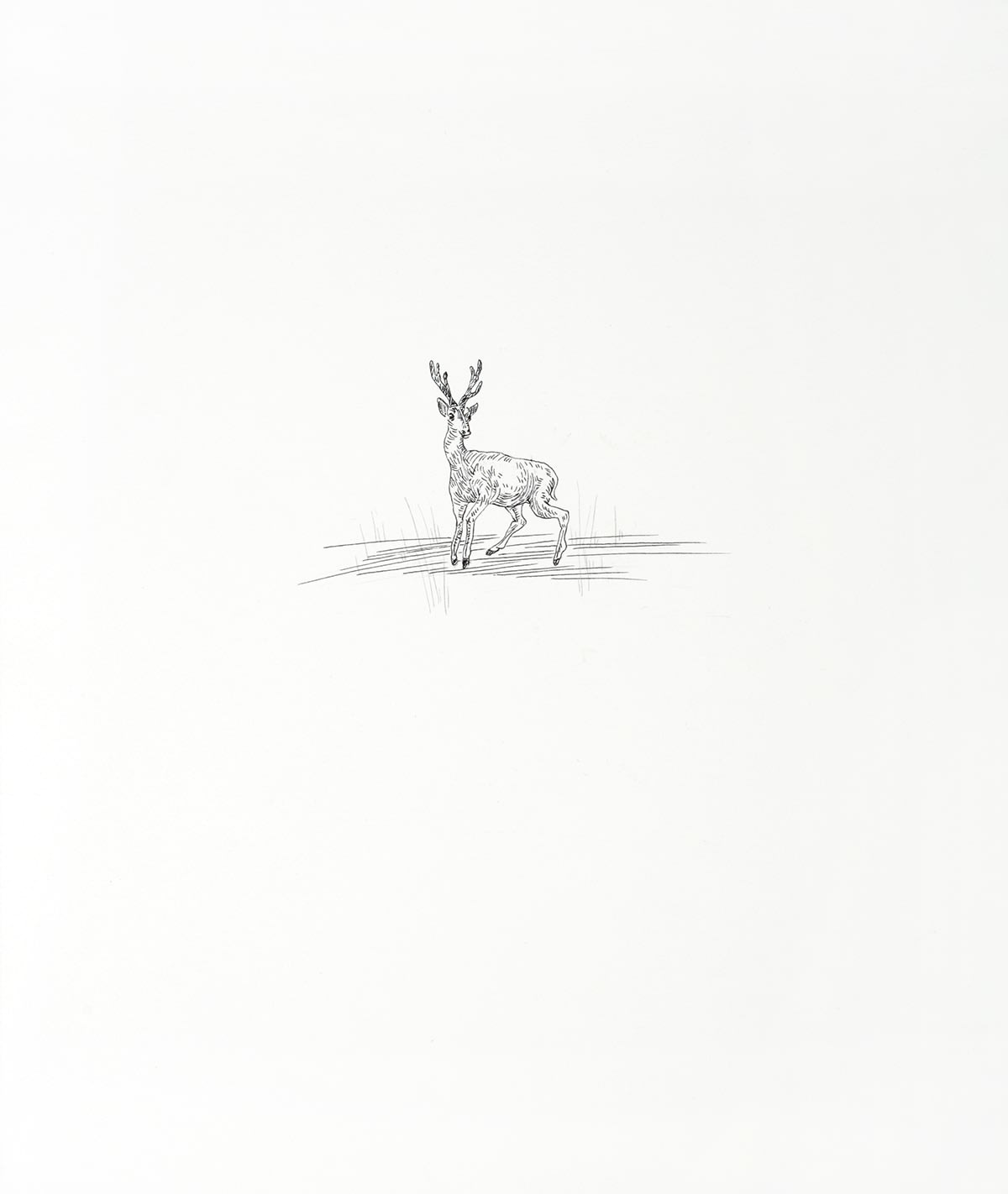 Çağla Köseoğulları, İsimsiz 34 | Untitled 34, 2016