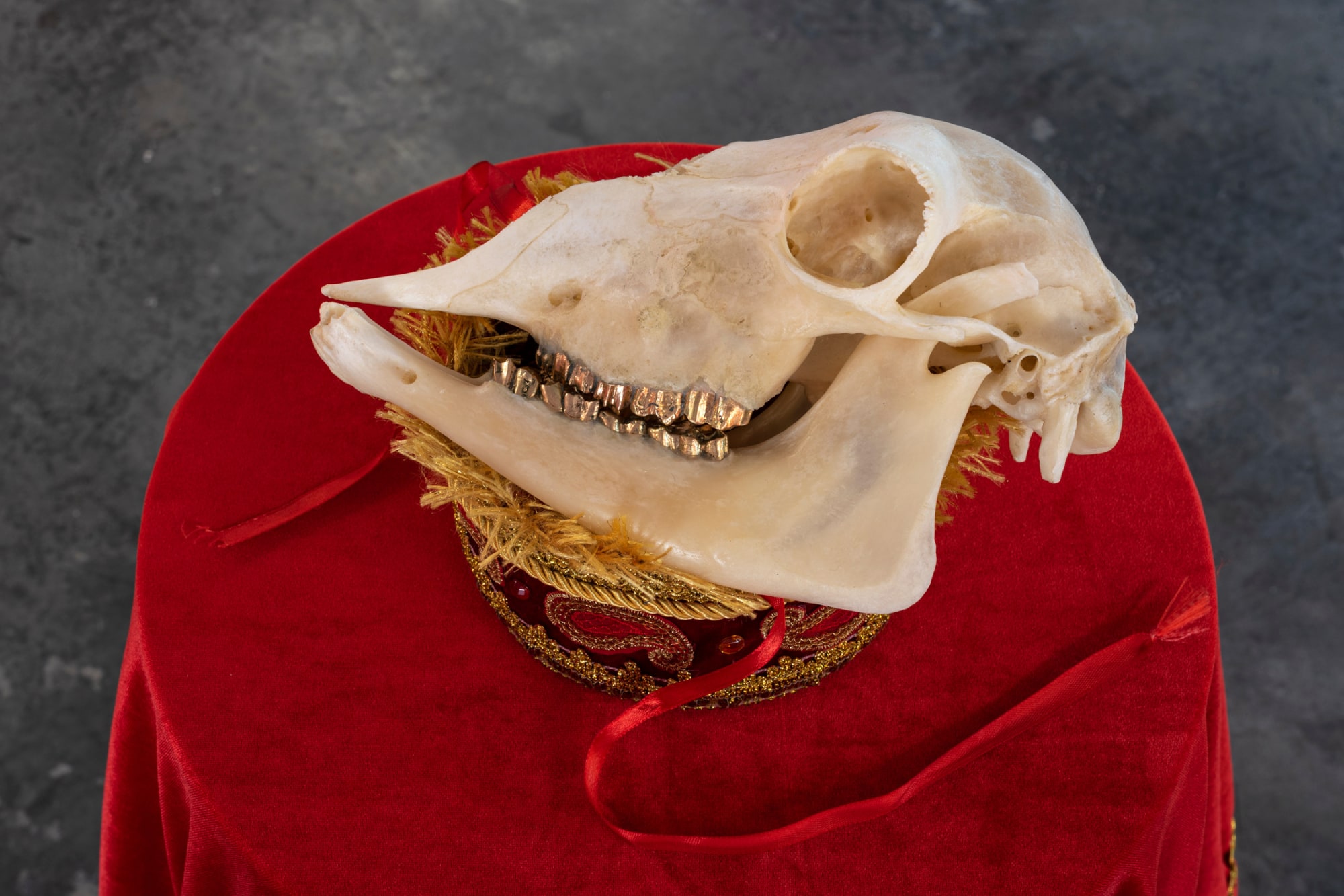 Farid Rasulov, Altın dişli güzelliğim | My gold-tooth beauty , 2020