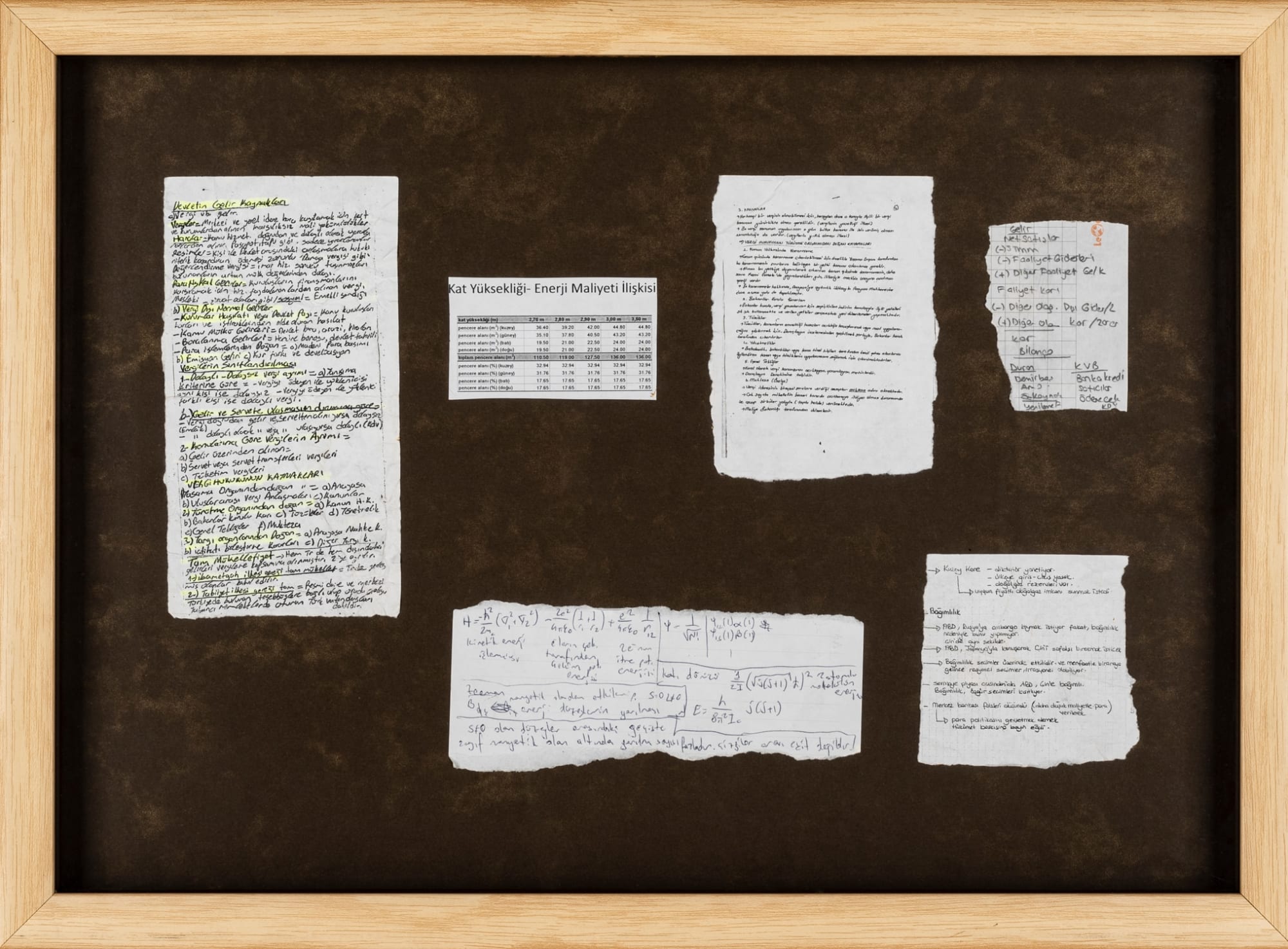 Zeyno Pekünlü, Minima Academica VIII, 2015