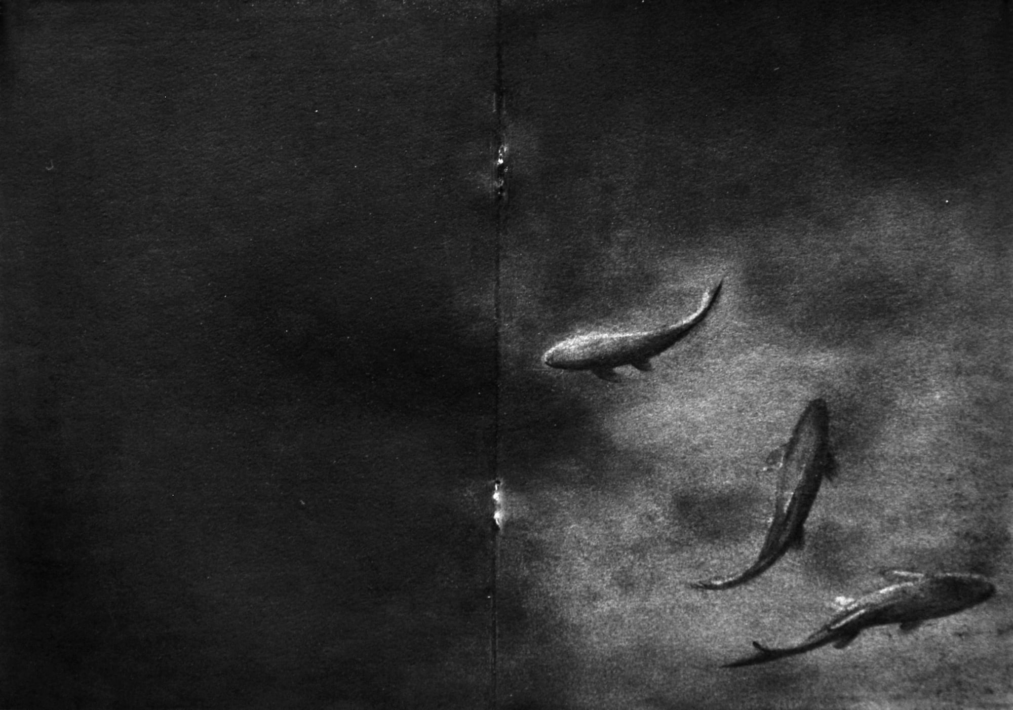 Gizem Akkoyunoğlu, İsimsiz, Gölge serisinden | Untitled, from the series Shadow, 2015