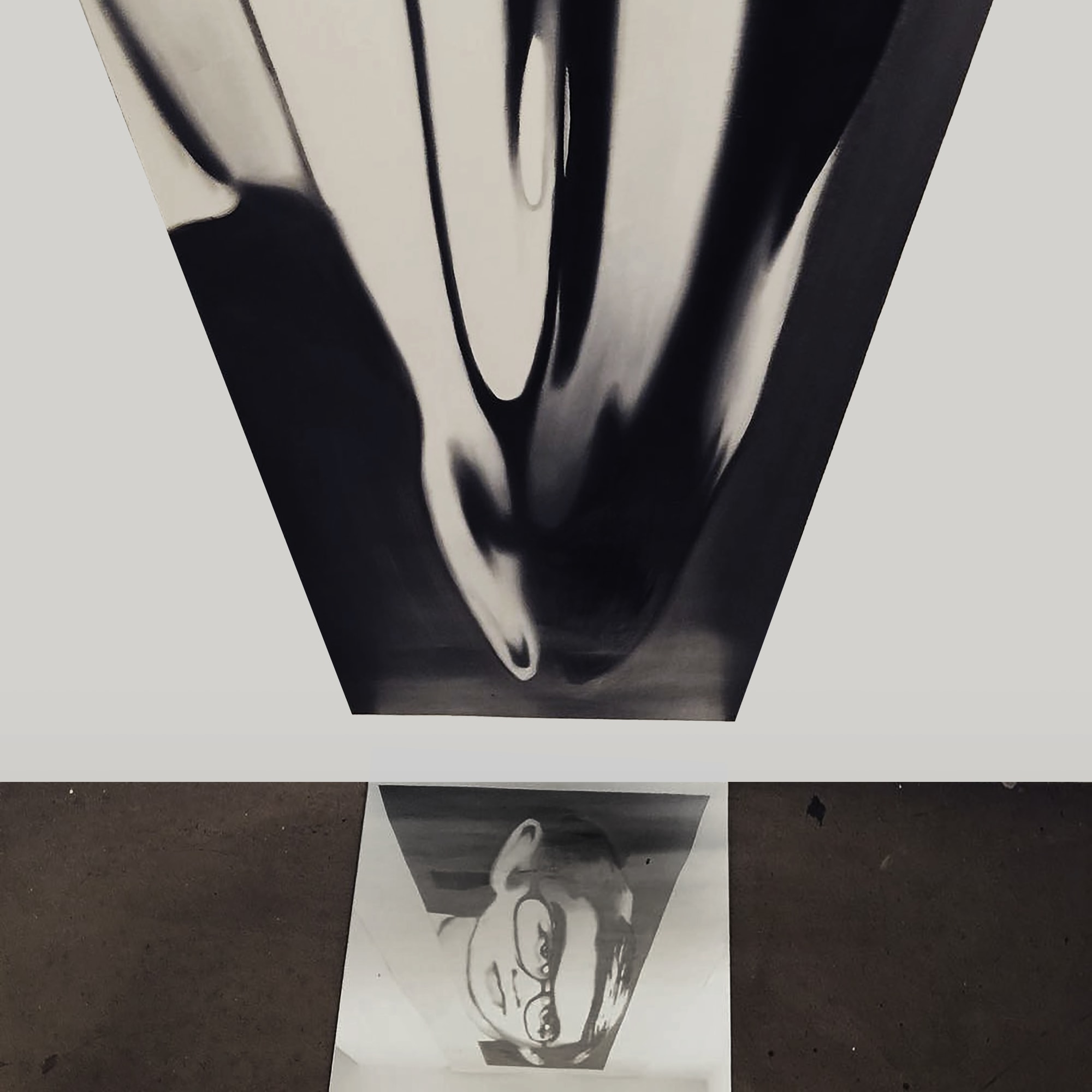 Erol Eskici, Özneler - Anamorfoz | Subjects - Anamorphosis, 2014