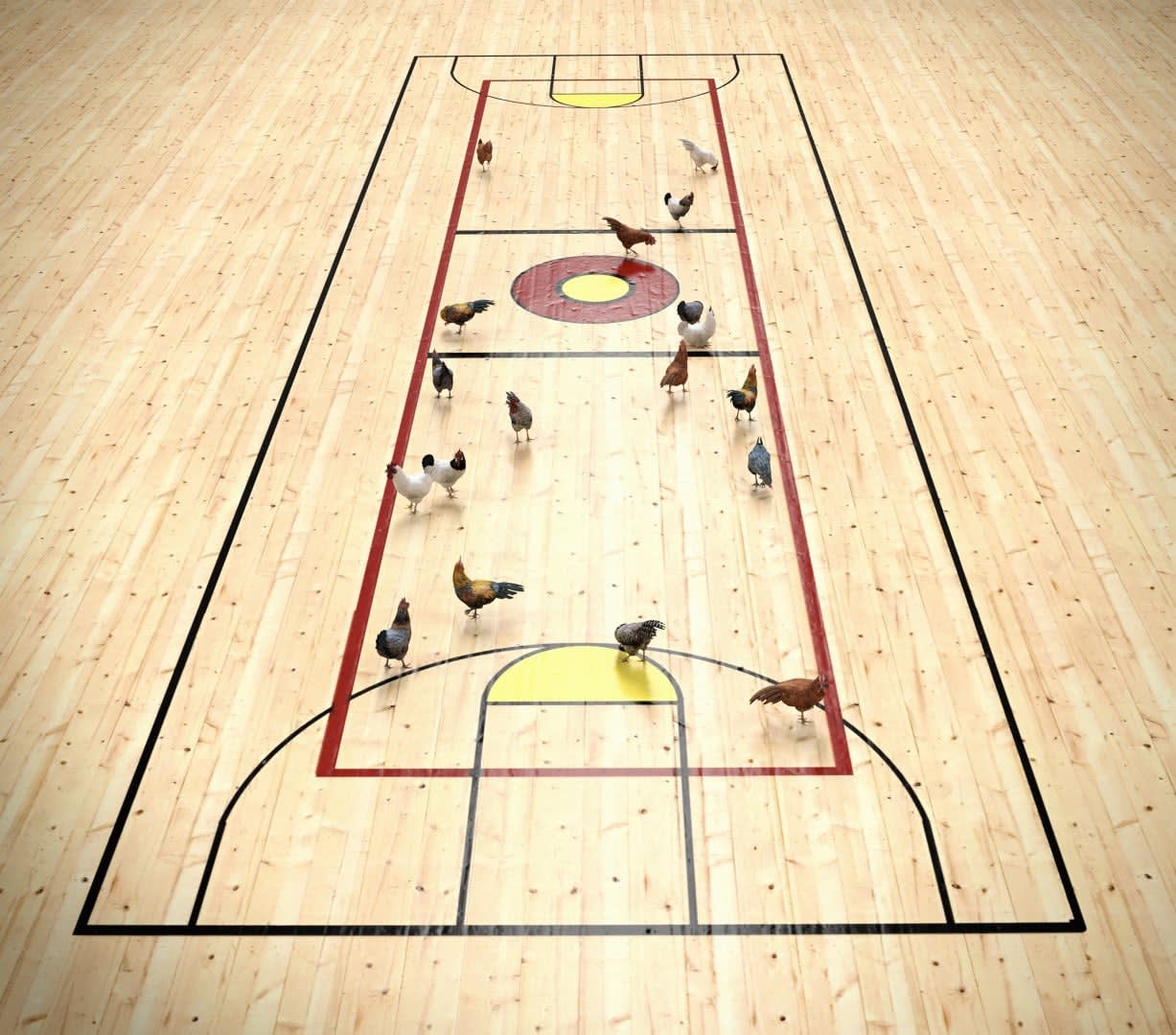 Kerem Ozan Bayraktar, Chicken System from the series "Chicken System and Its Variables", 2017