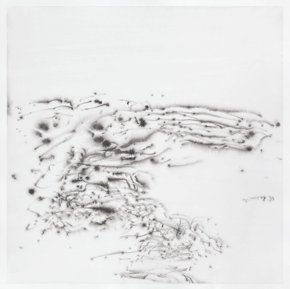 Çağla Köseoğulları, İsimsiz 10 | Untitled 10, 2018