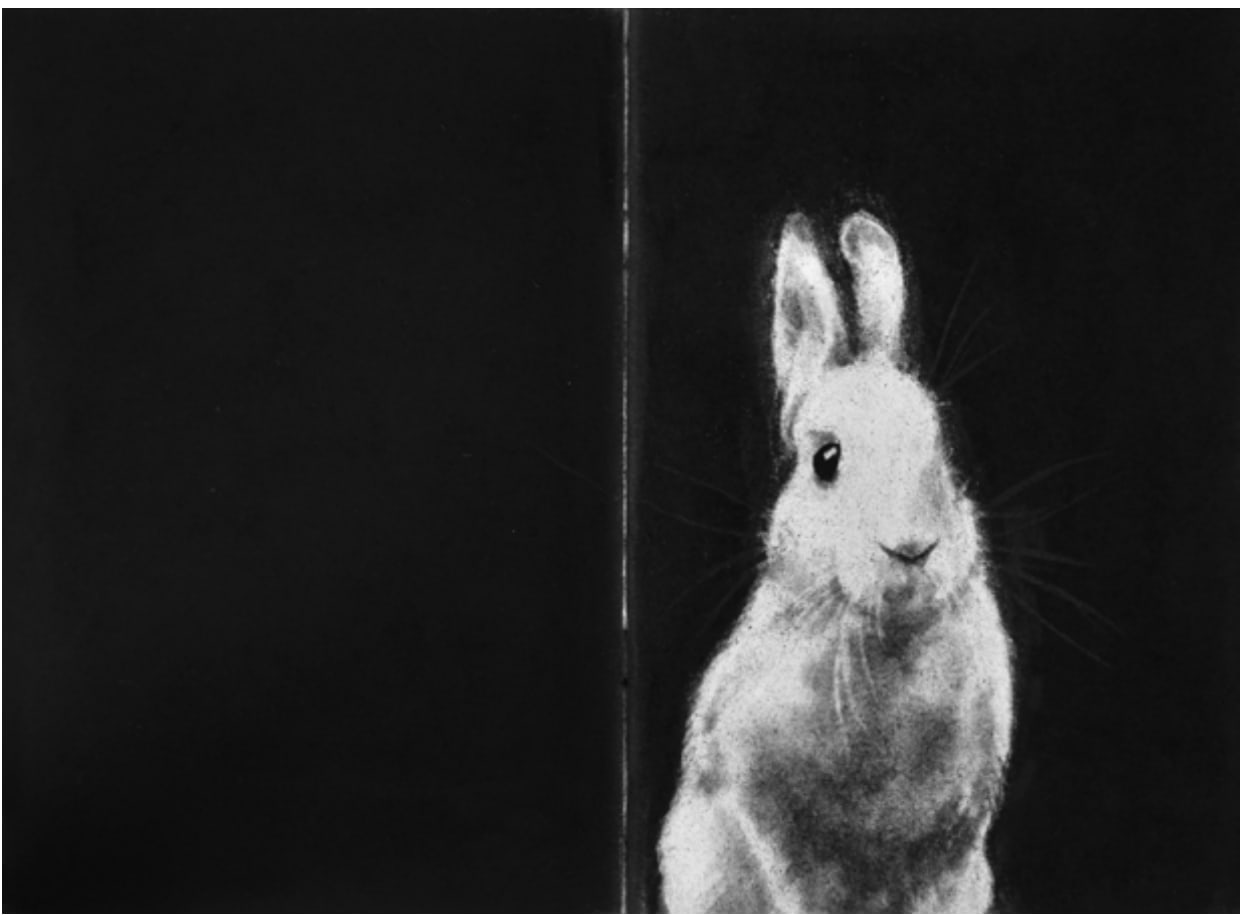 Gizem Akkoyunoğlu, İsimsiz | Untitled, 2013