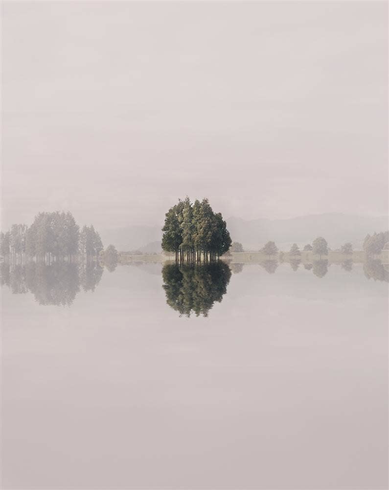 Kate Van Der Drift, Kerepehi, Waihou Valley, 2017