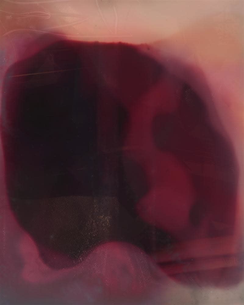 Kate Van Der Drift, New Moon to New Moon, August 37°17'41.6S 175°31'35.7E, 2019