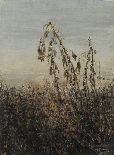 Abbas Nasle Shamloo, The Land of No Sun 8, 2021