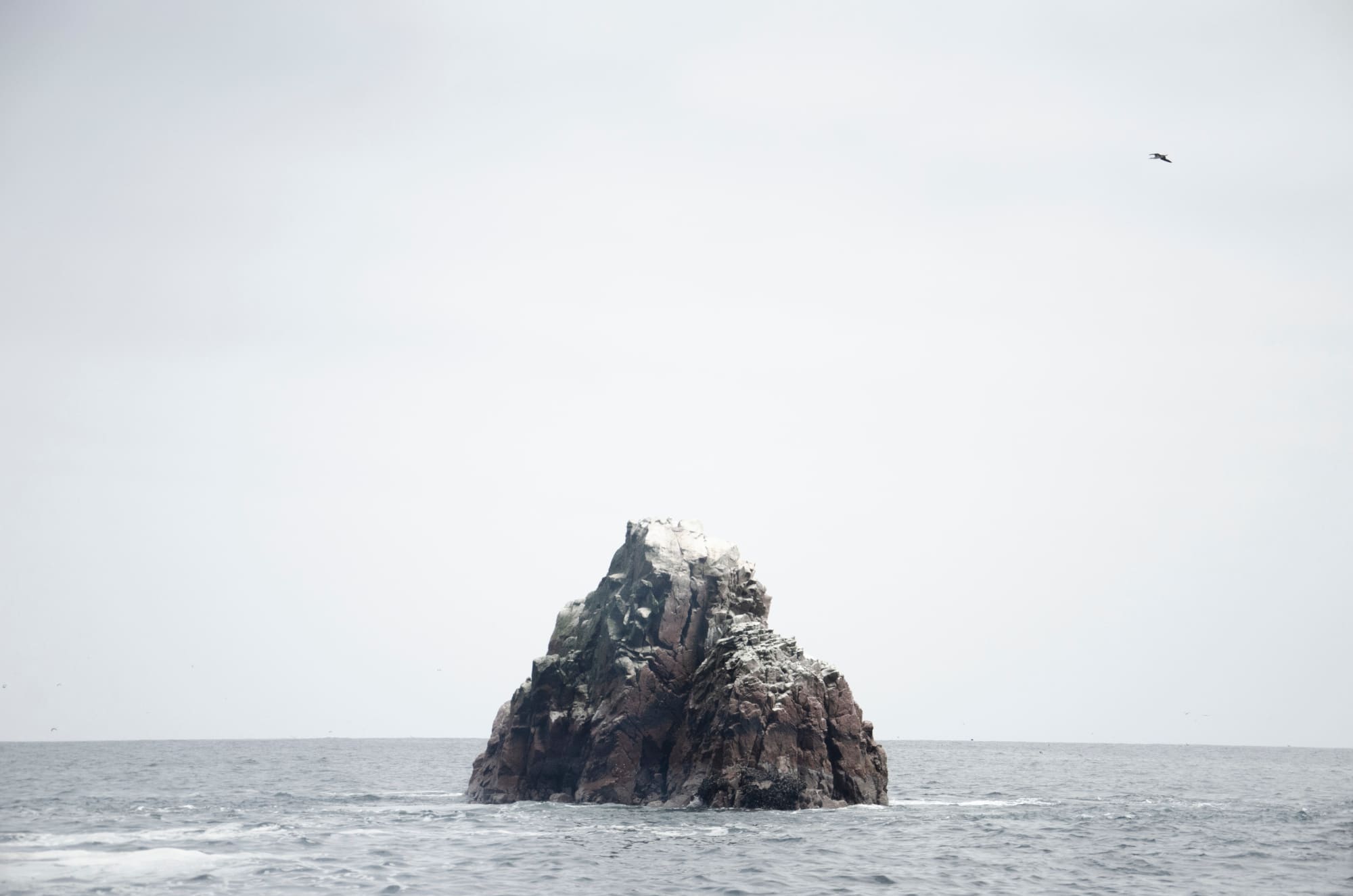 Wan Chantavilasvong, Pisco (Set of 2/4)