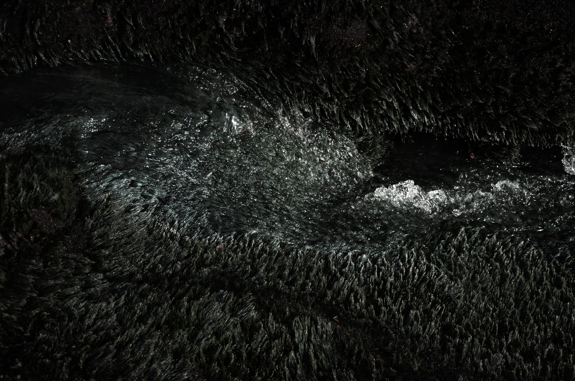 Wan Chantavilasvong, Bali