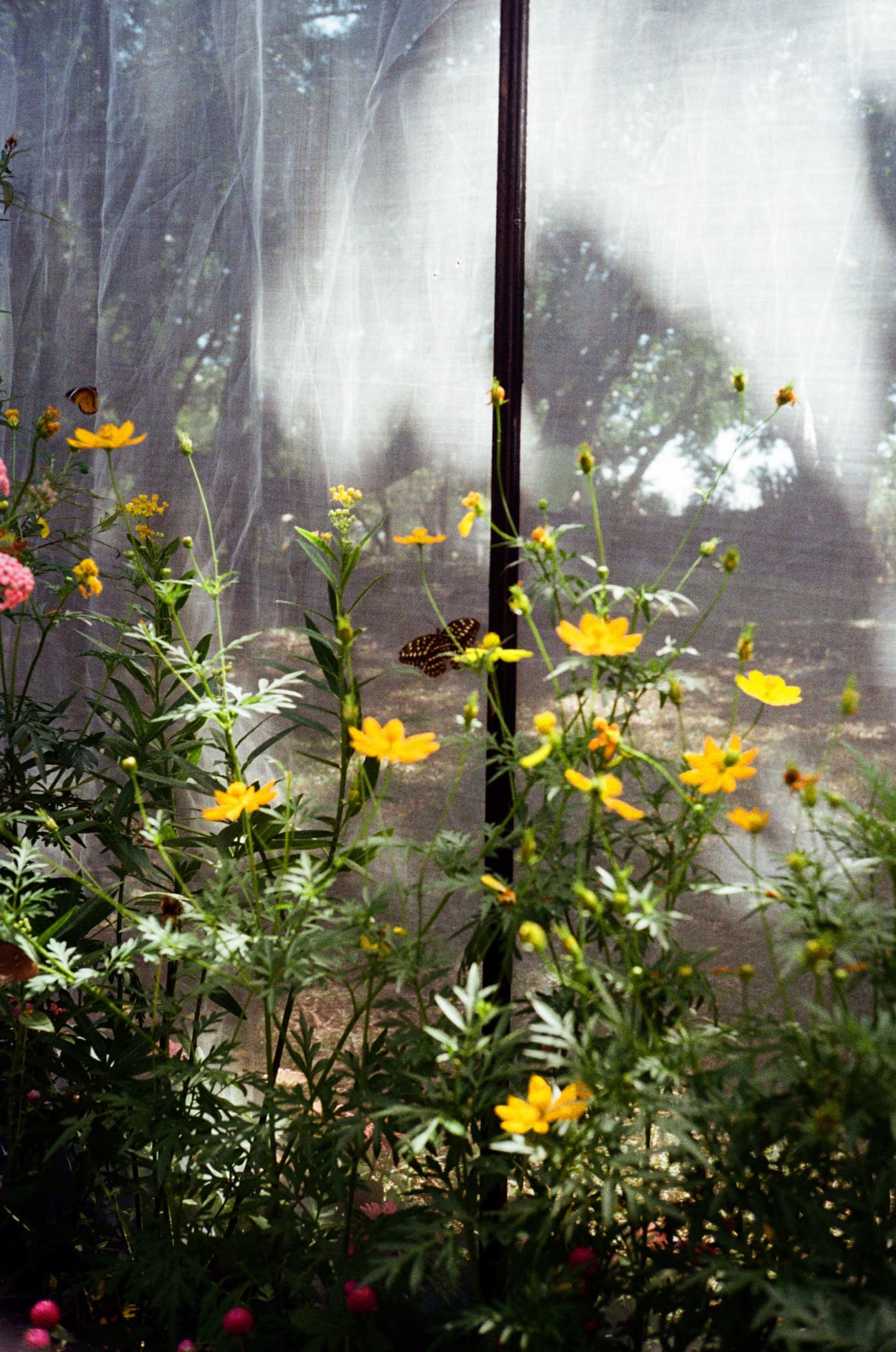 Nattakorn Choonhavan, Freedom in The Cage, 2024