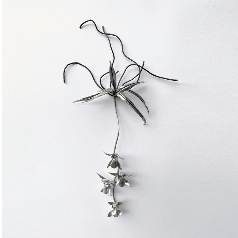 Sophie Carnell, hidden intimacies (Sarcochilus australis - Gunn’s tree orchid), 2020