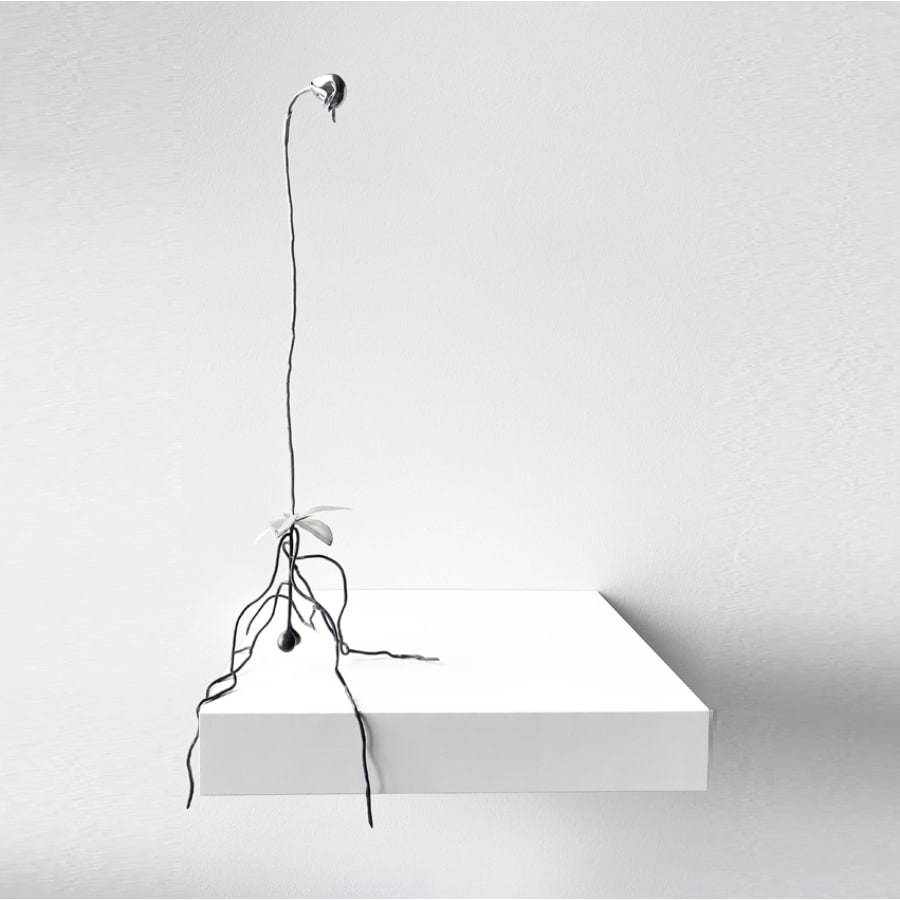 Sophie Carnell, silent sentinel II (Pterostylis nutans - nodding greenhood), 2020