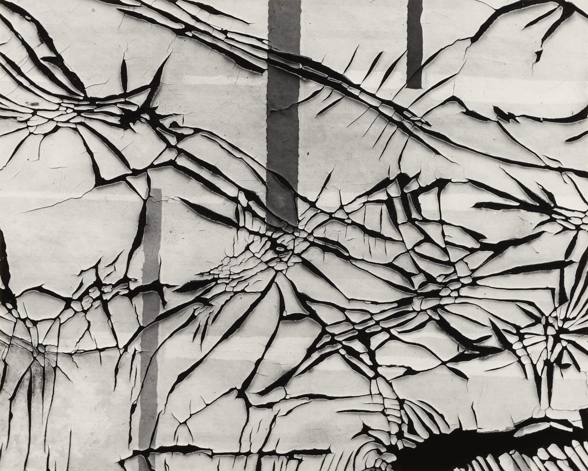 Robert K. Byers, Old Floor Covering, Arizona, 1974