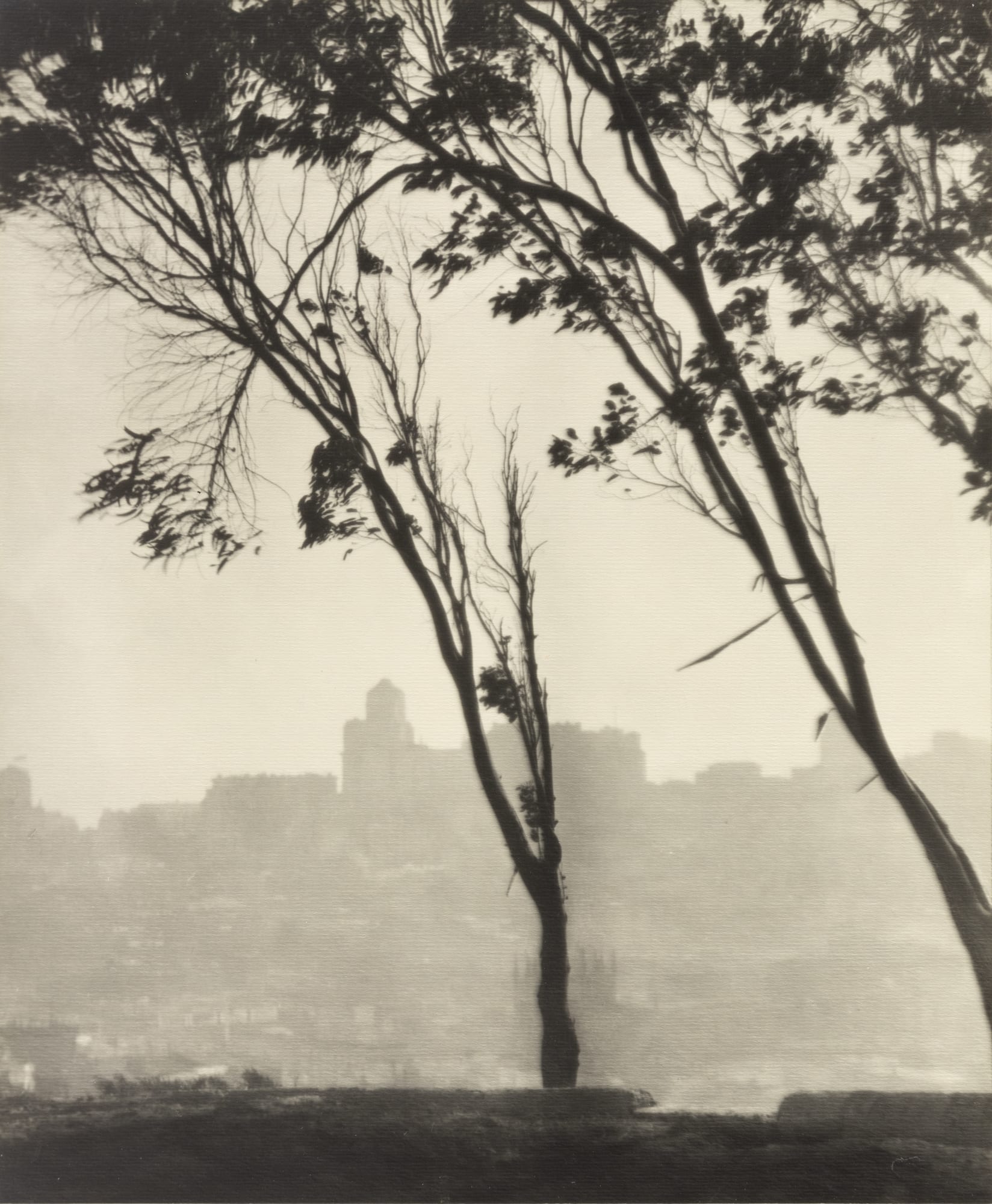 William E. Dassonville, San Francisco from Telegraph Hill, c. 1920s