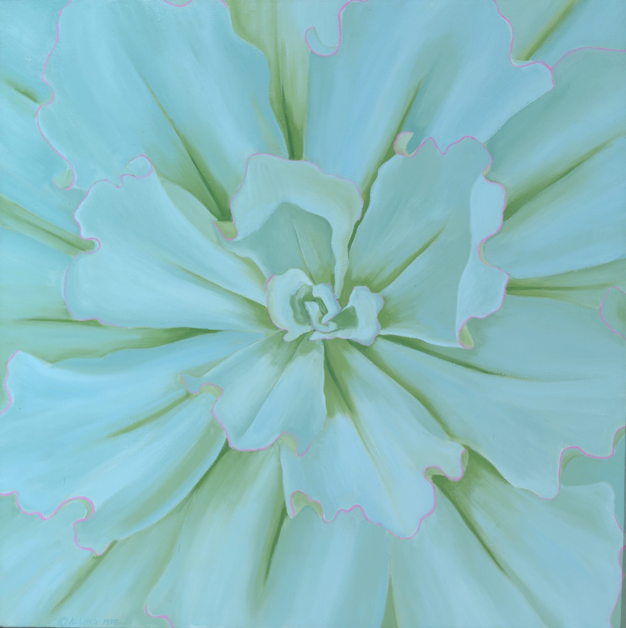 Janet Alling, Echeveria, 1978