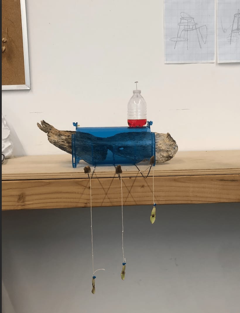 Larí García, x-ray radio, 2024