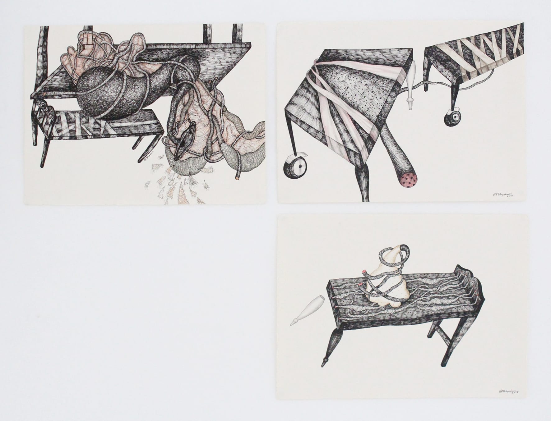 Pakkiyarajah Pushpakanthan, THE DISAPPEARANCE OF DISAPPEARANCES X, 2018