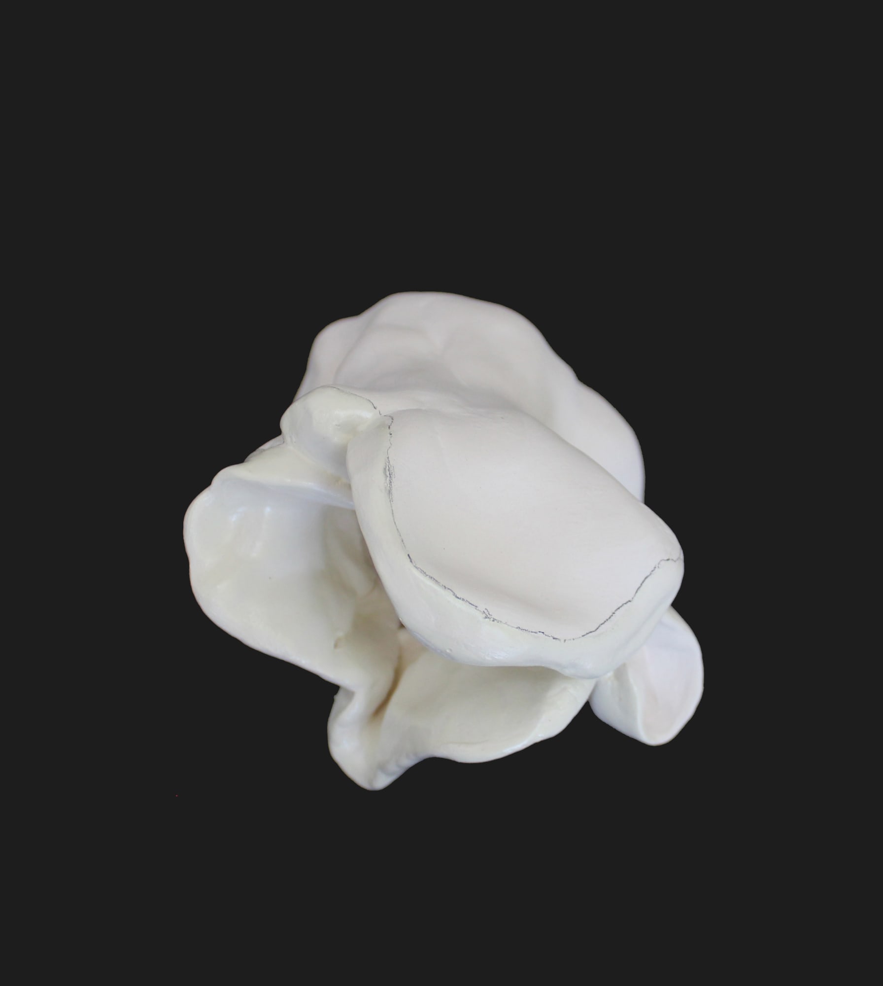 Fabienne Francotte, Still Life - Nature Morte 22, 2022