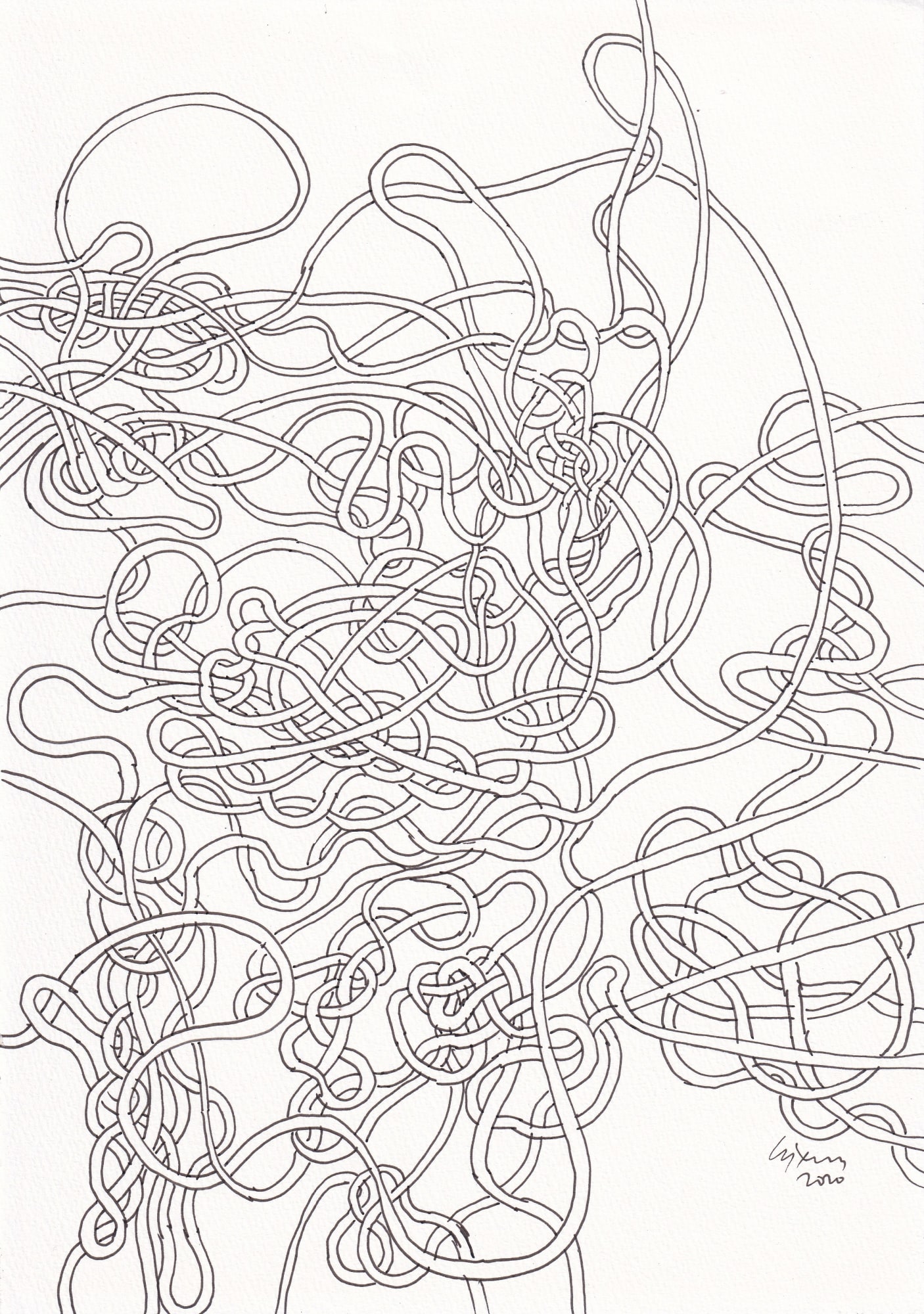 Chandraguptha Thenuwara, CONFUSION, 2020