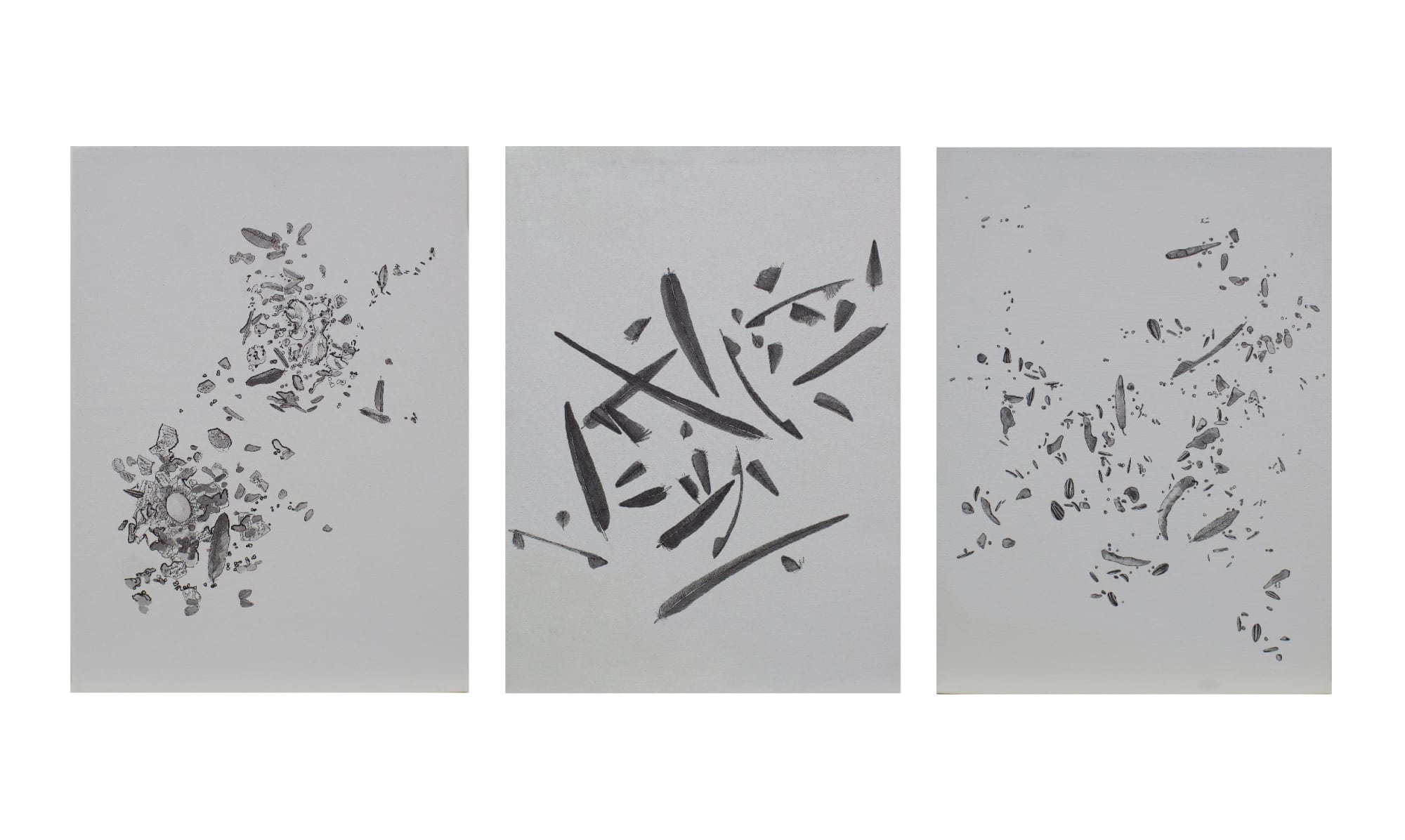 Firi Rahman, Scattered , 2020