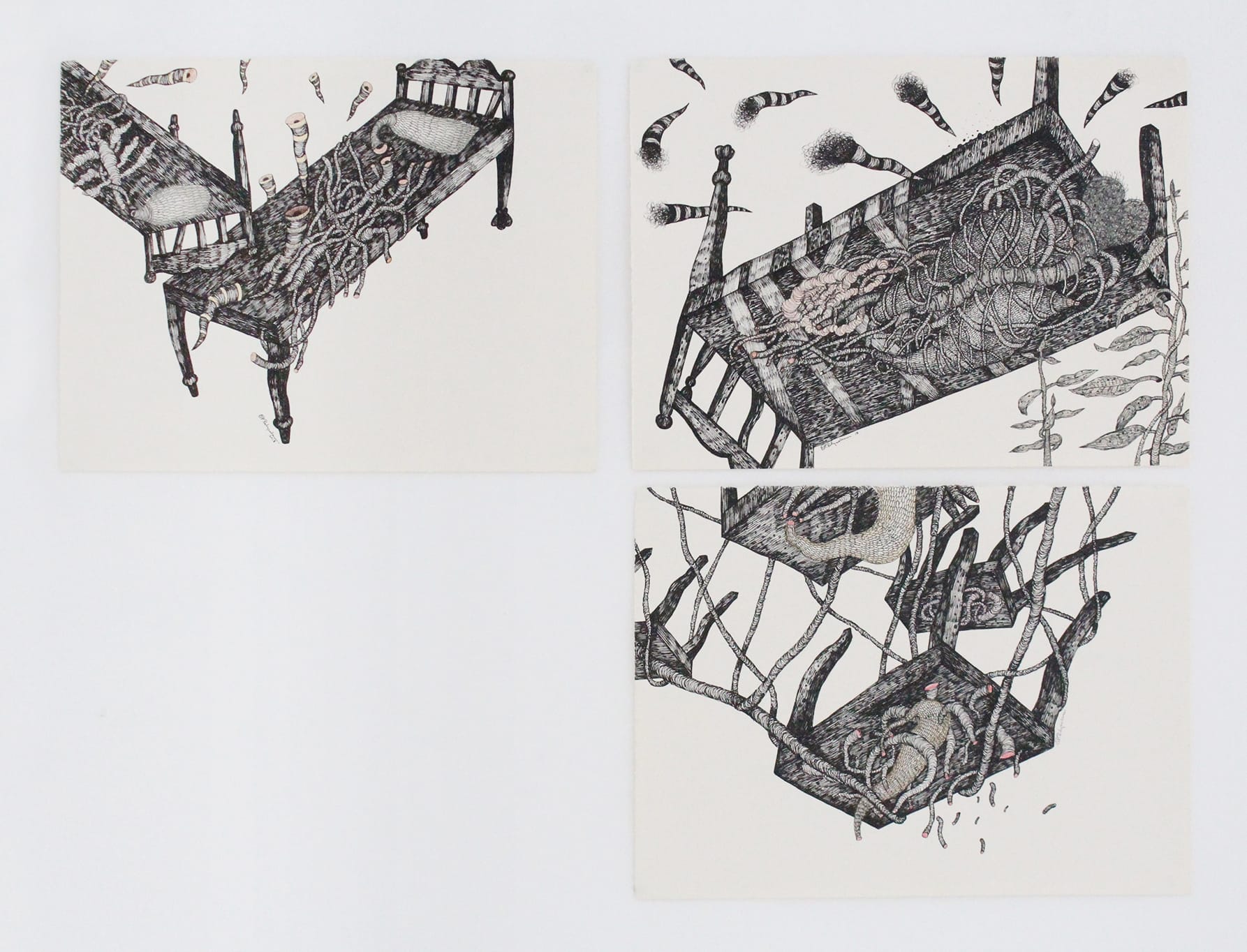 Pakkiyarajah Pushpakanthan, THE DISAPPEARANCE OF DISAPPEARANCES XI, 2018