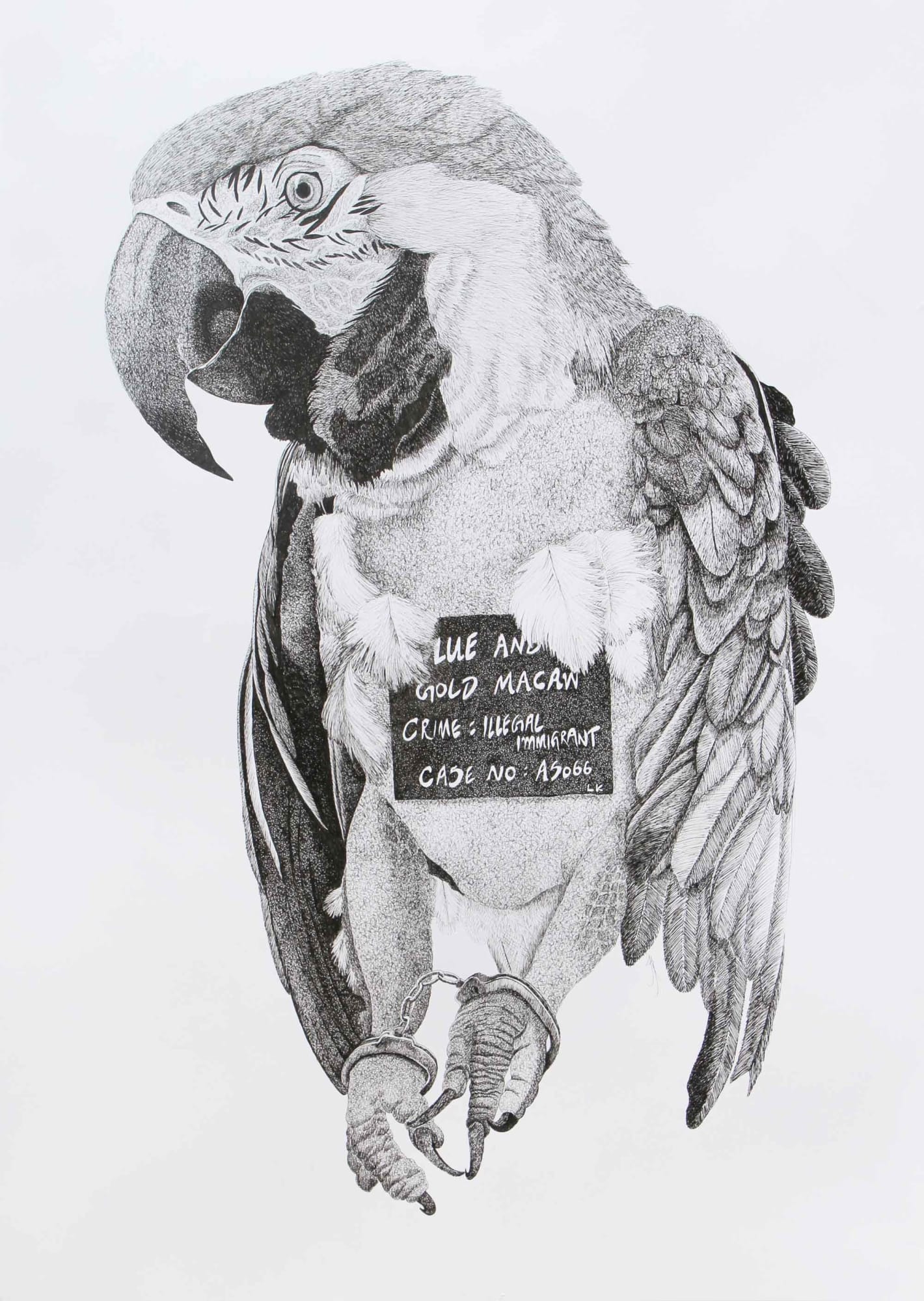 Firi Rahman, Imprisonment, 2016