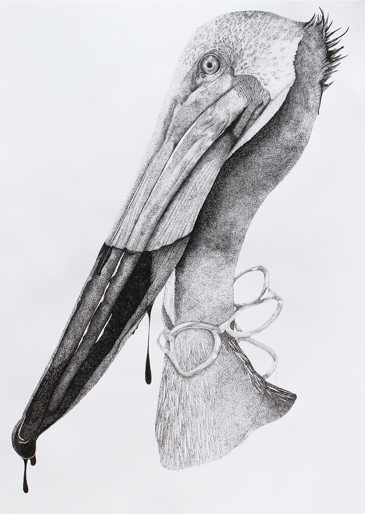 Firi Rahman, Leak on Beak, , 2016,