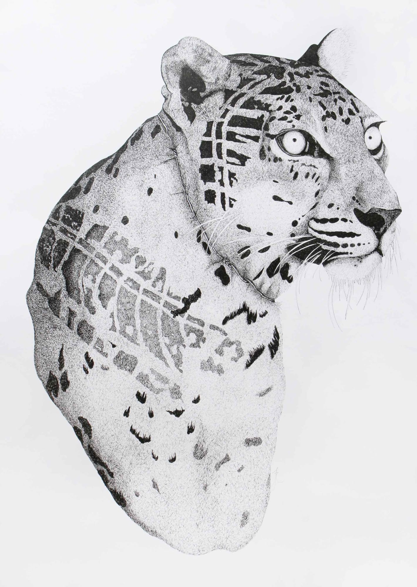 Firi Rahman, Spotted Trails, 2016