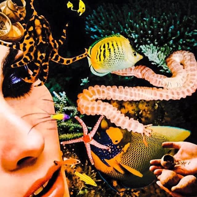 TJ Ahearn, Atlantis (Donovan), 2015