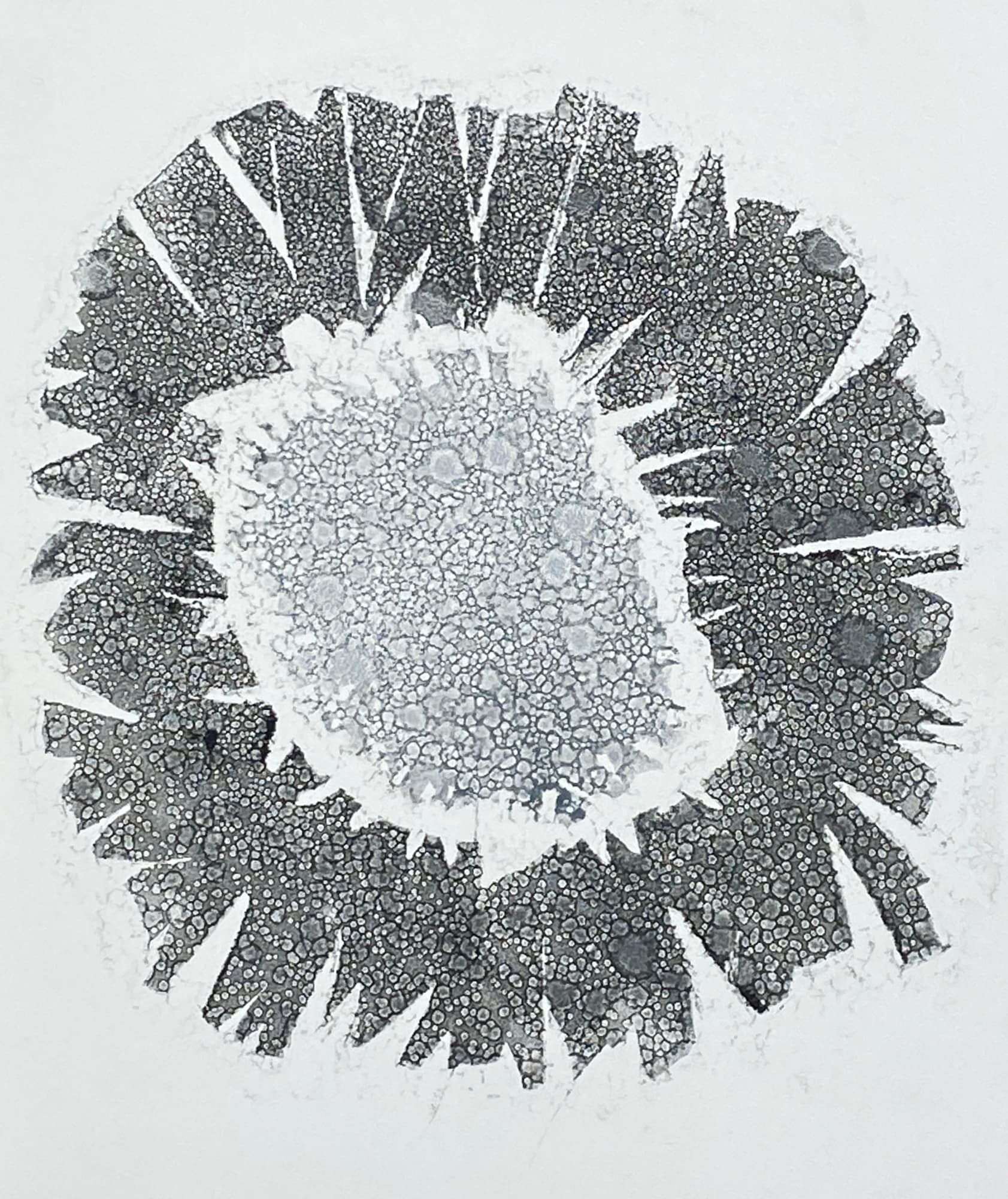 Howard Jeffs, Grey Jagged