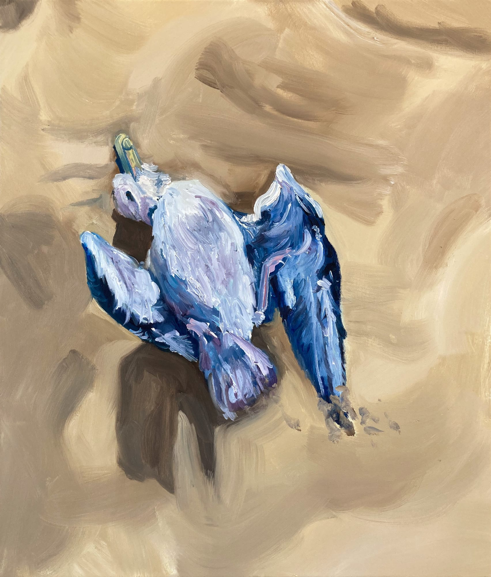 Elise Debrock, Meeuw, 2023