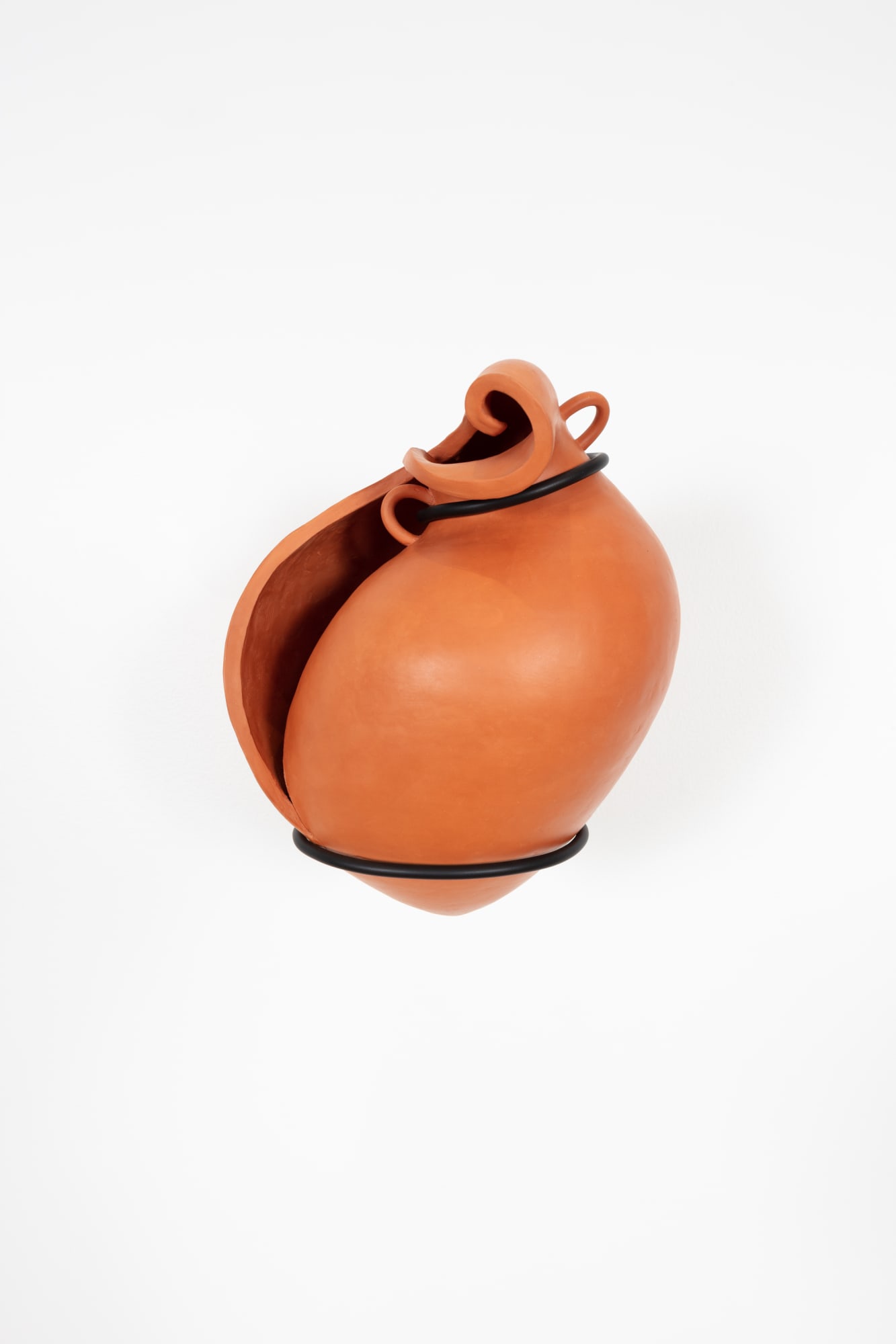 Cammie Staros, Amphora conchata, 2020