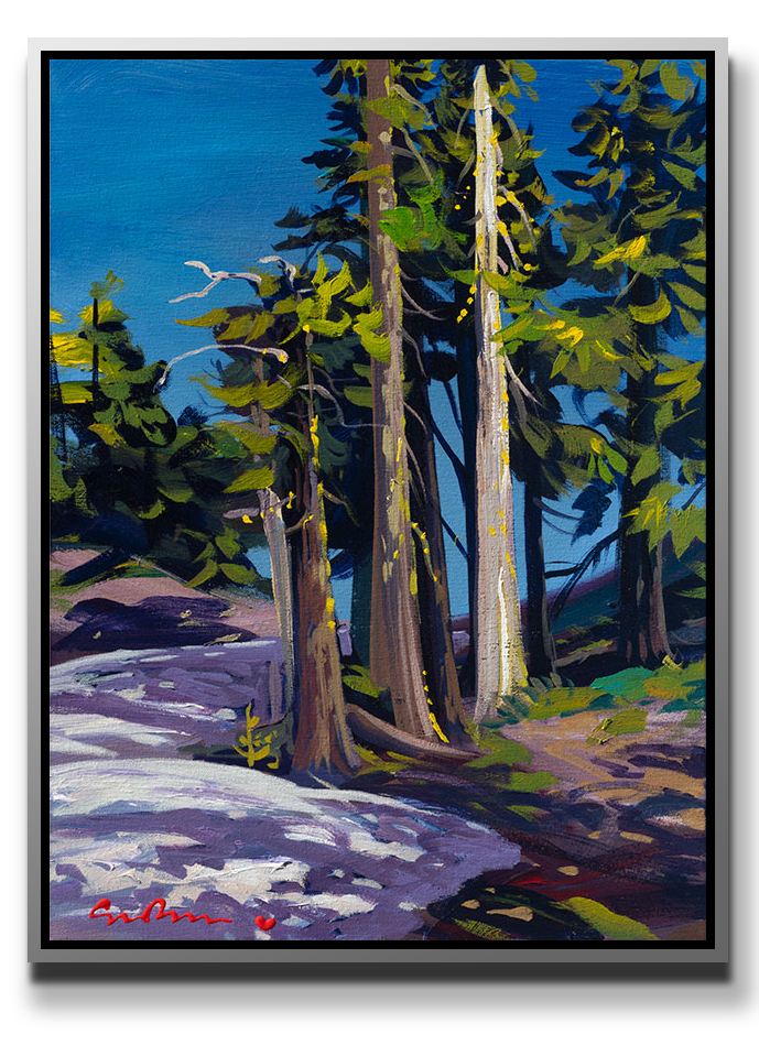 Simon Bull, High Country Trees, 2022