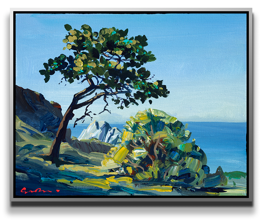 Simon Bull, Lobos Pine, 2022