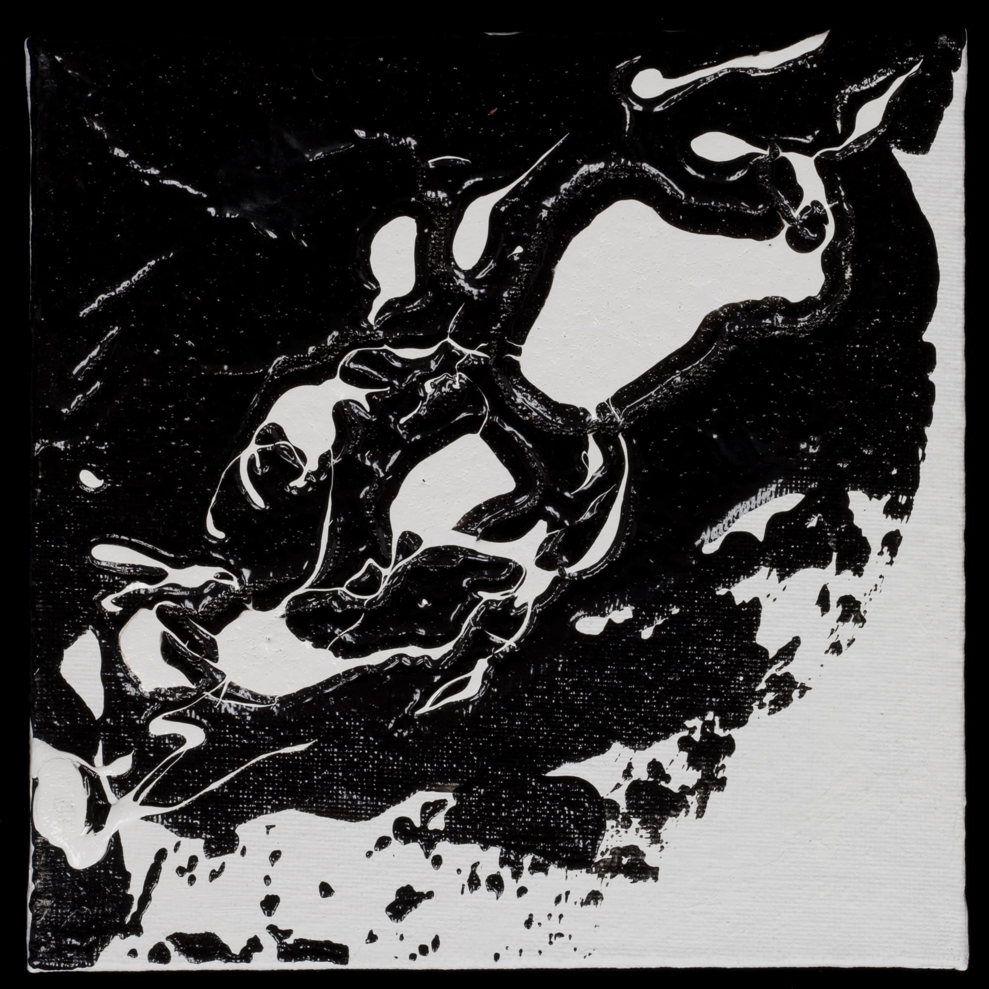 Barb Schwarz Karst, BW16, 2019