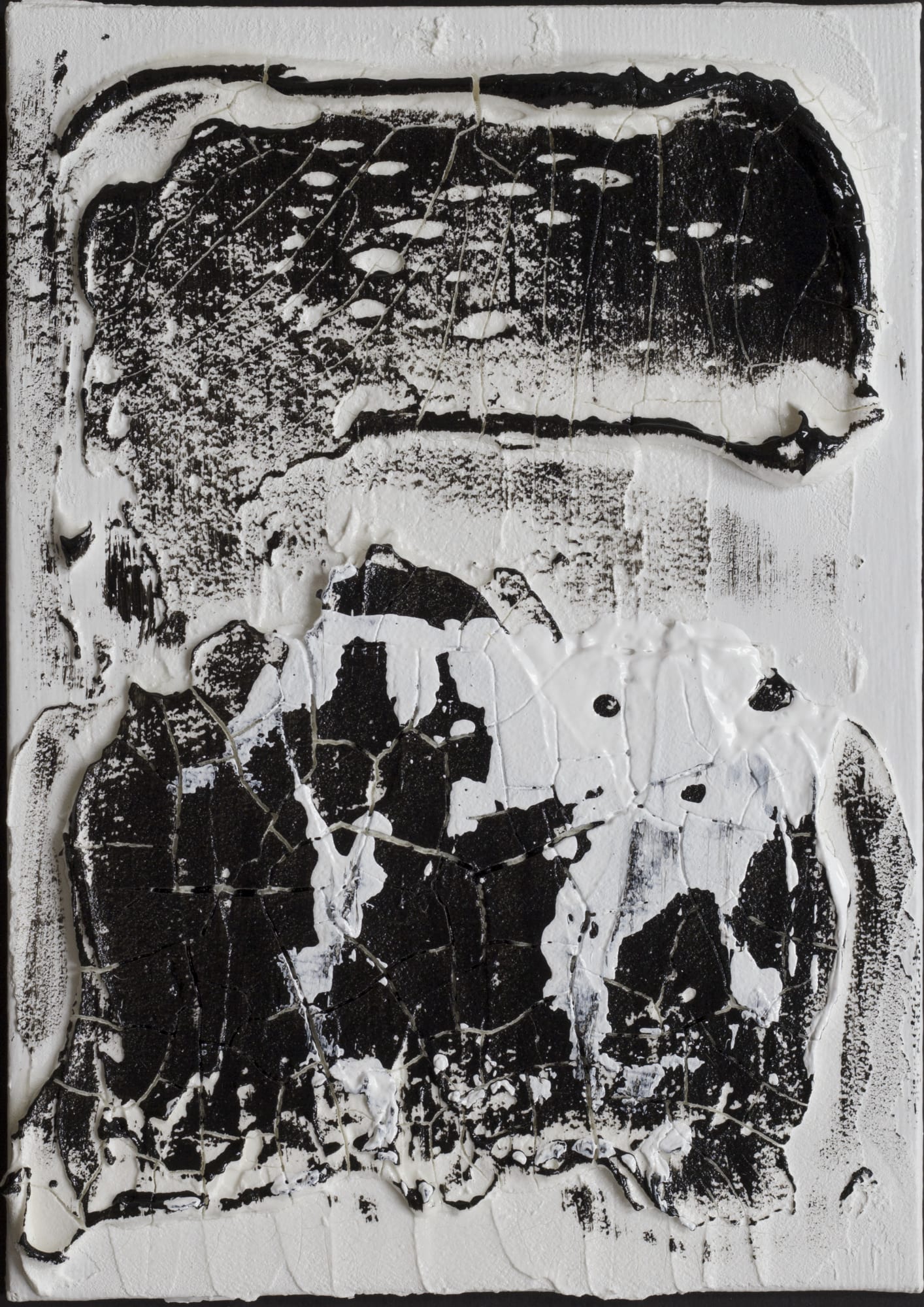 Barb Schwarz Karst, BW38, 2019