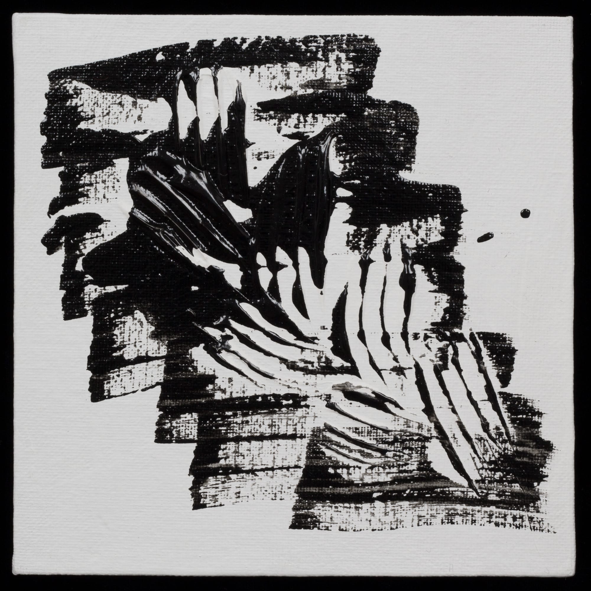 Barb Schwarz Karst, BW5, 2019