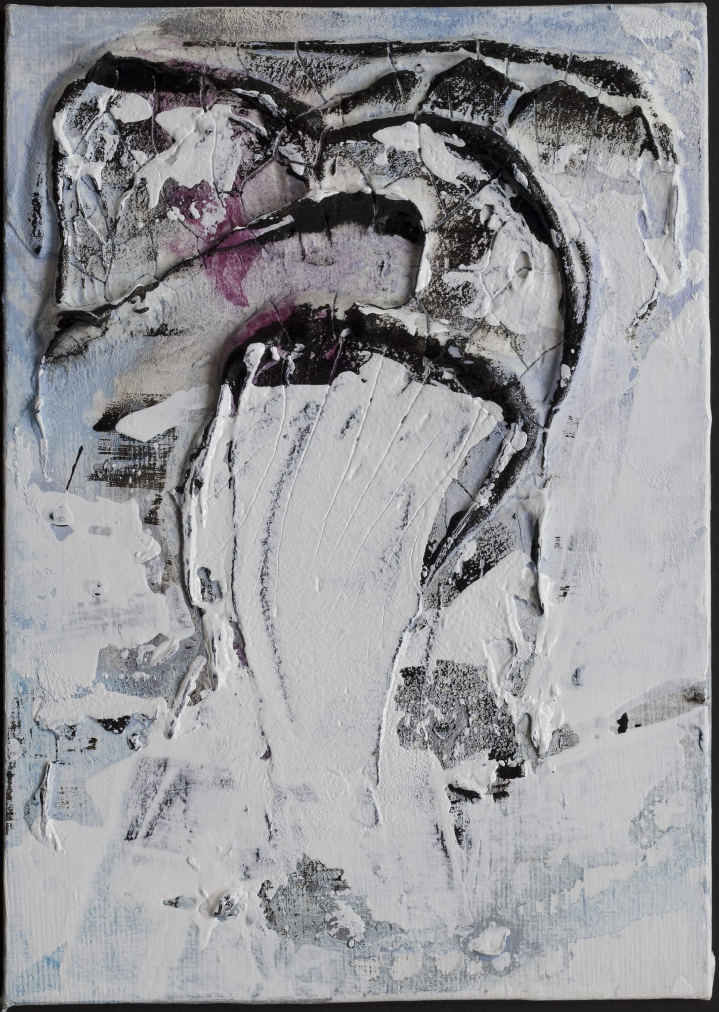 Barb Schwarz Karst, BW41, 2019