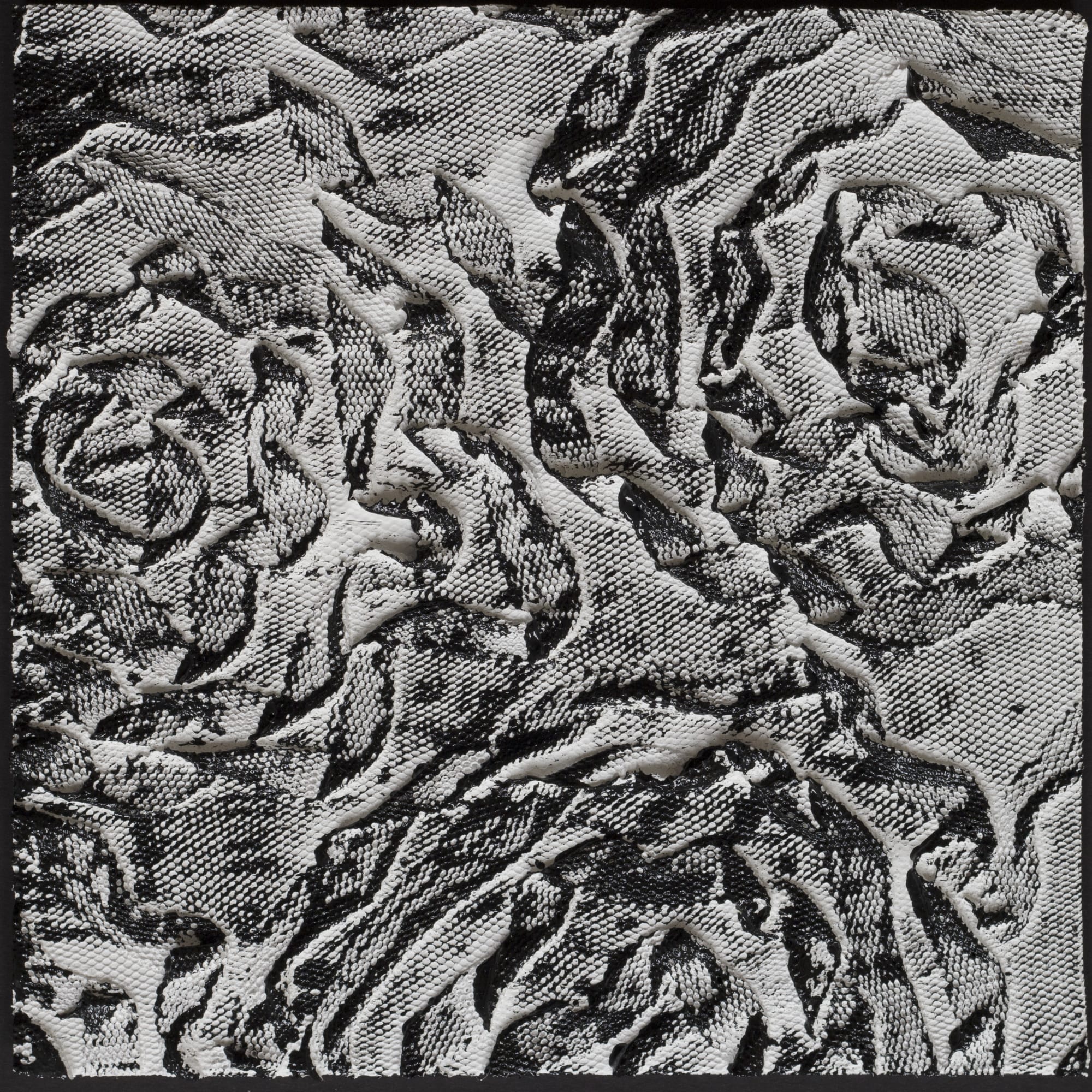 Barb Schwarz Karst, BW30, 2019