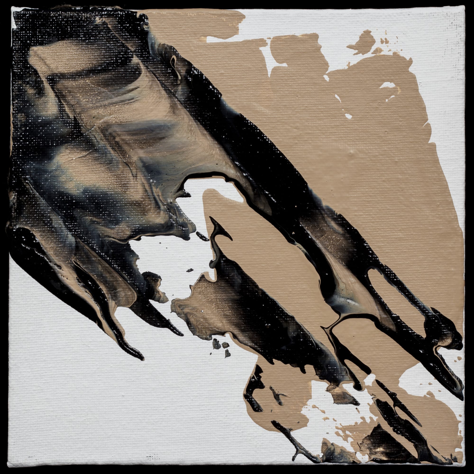 Barb Schwarz Karst, BW13, 2019