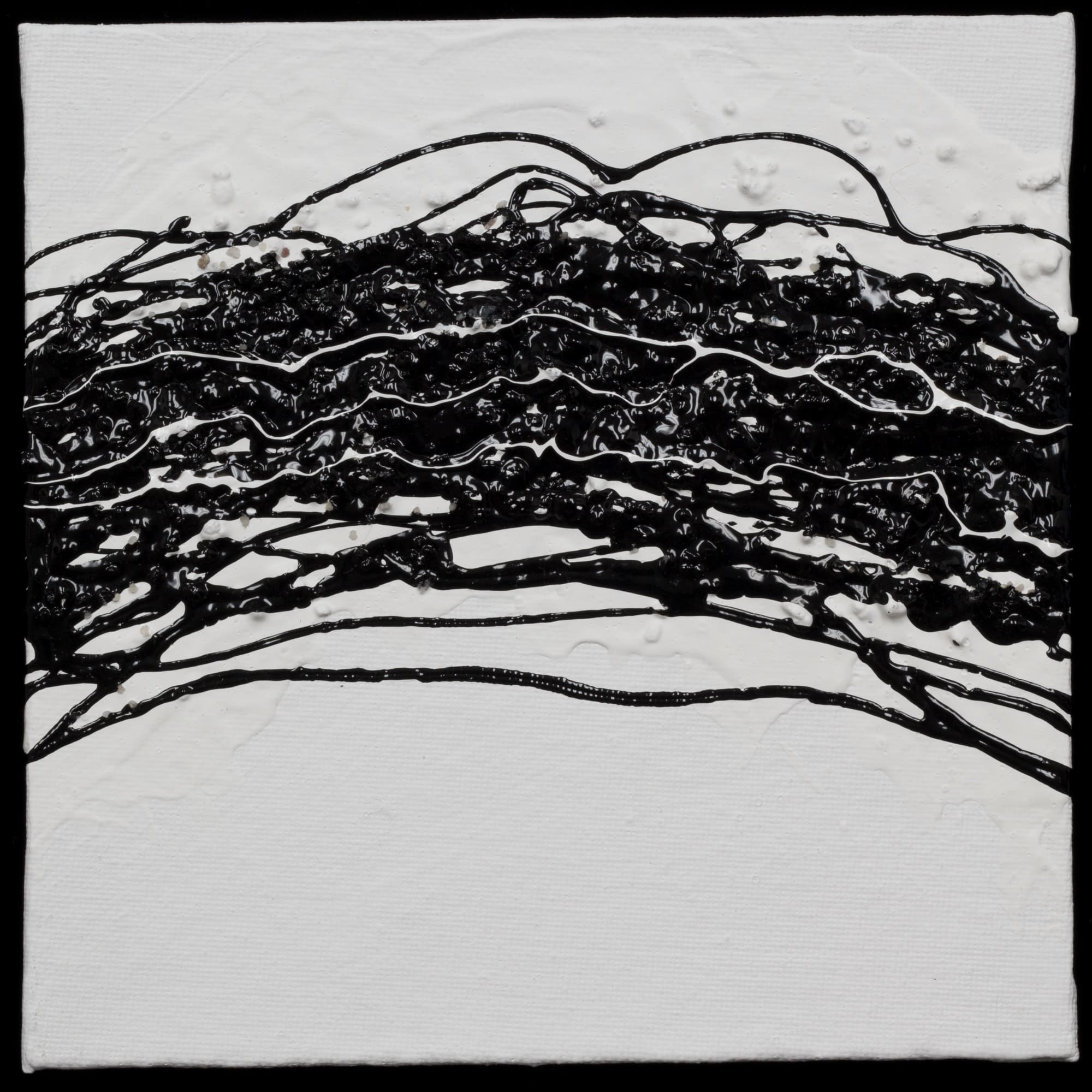 Barb Schwarz Karst, BW18, 2019