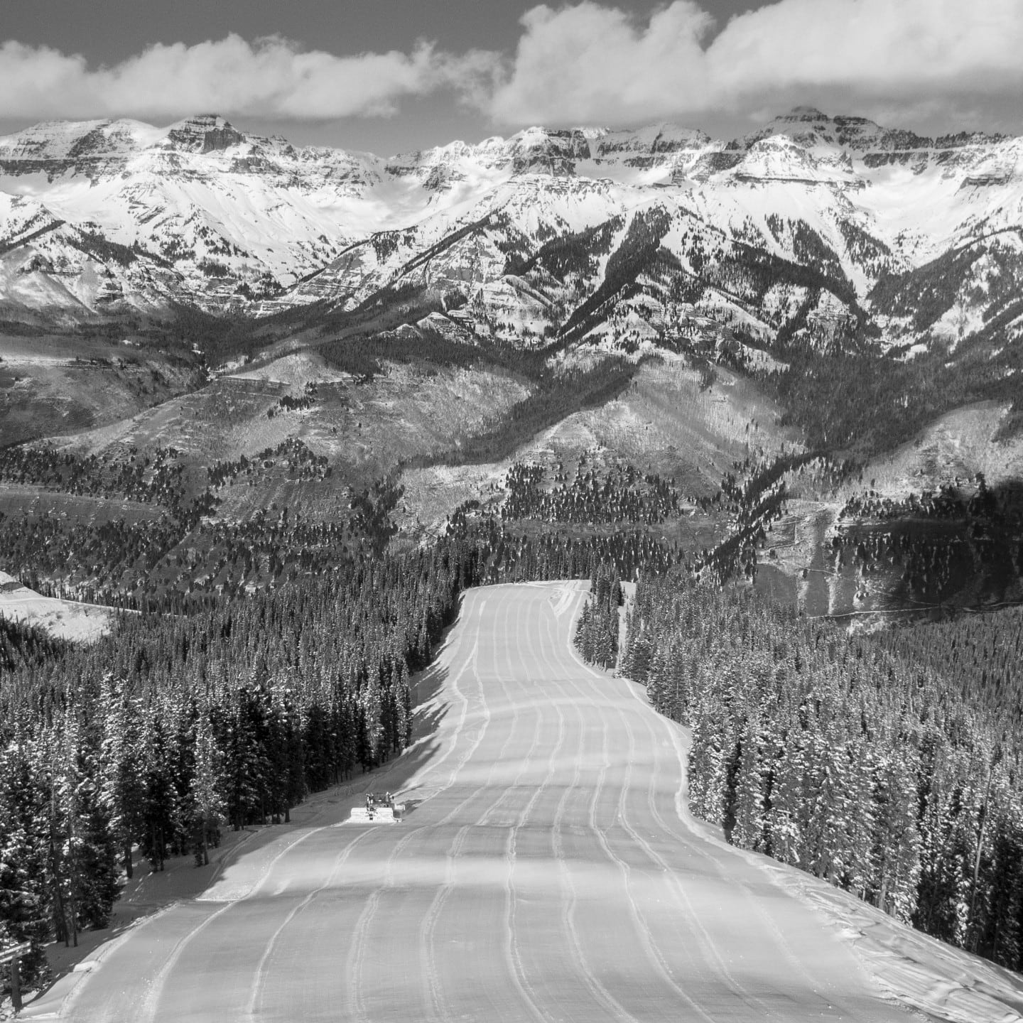 Brett Schreckengost, Plunge Groom